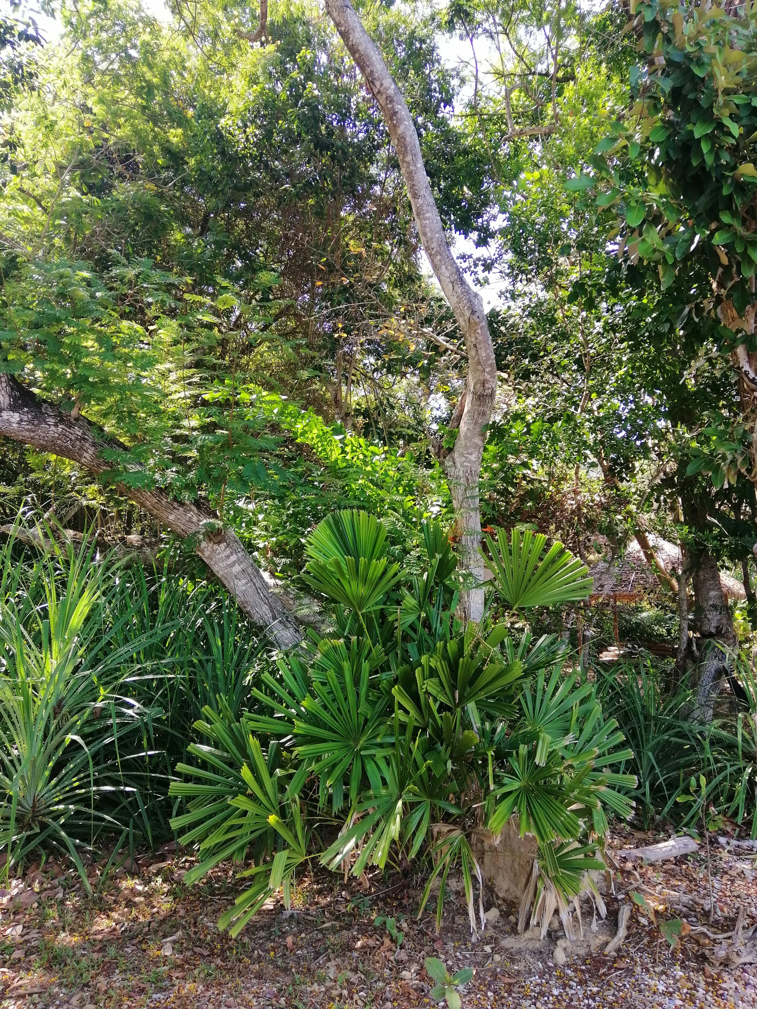 2018 Koh Lanta Misc  (147).jpg