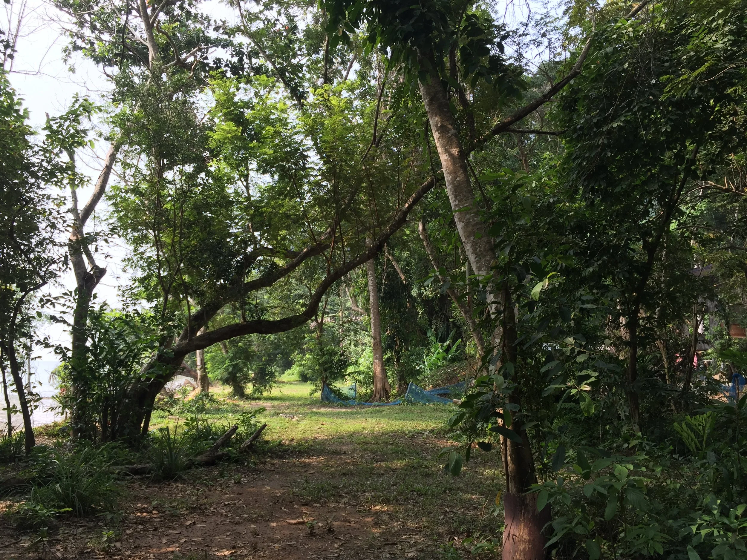 2015 Koh Lanta Garden & Nature (164).JPG