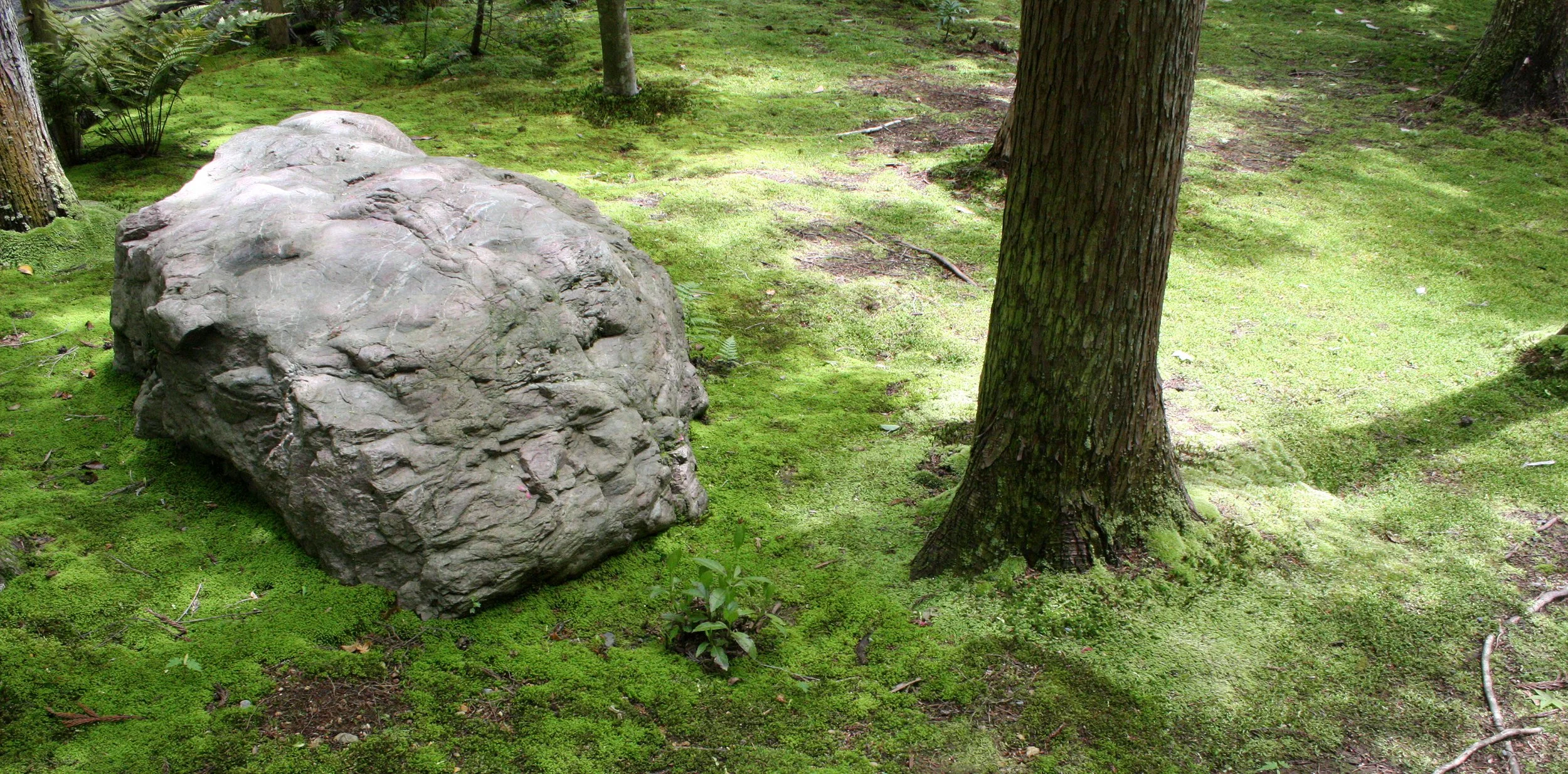 KYOTO - MAY 2009 - RYOANJI MOSS GARDENS (8).JPG