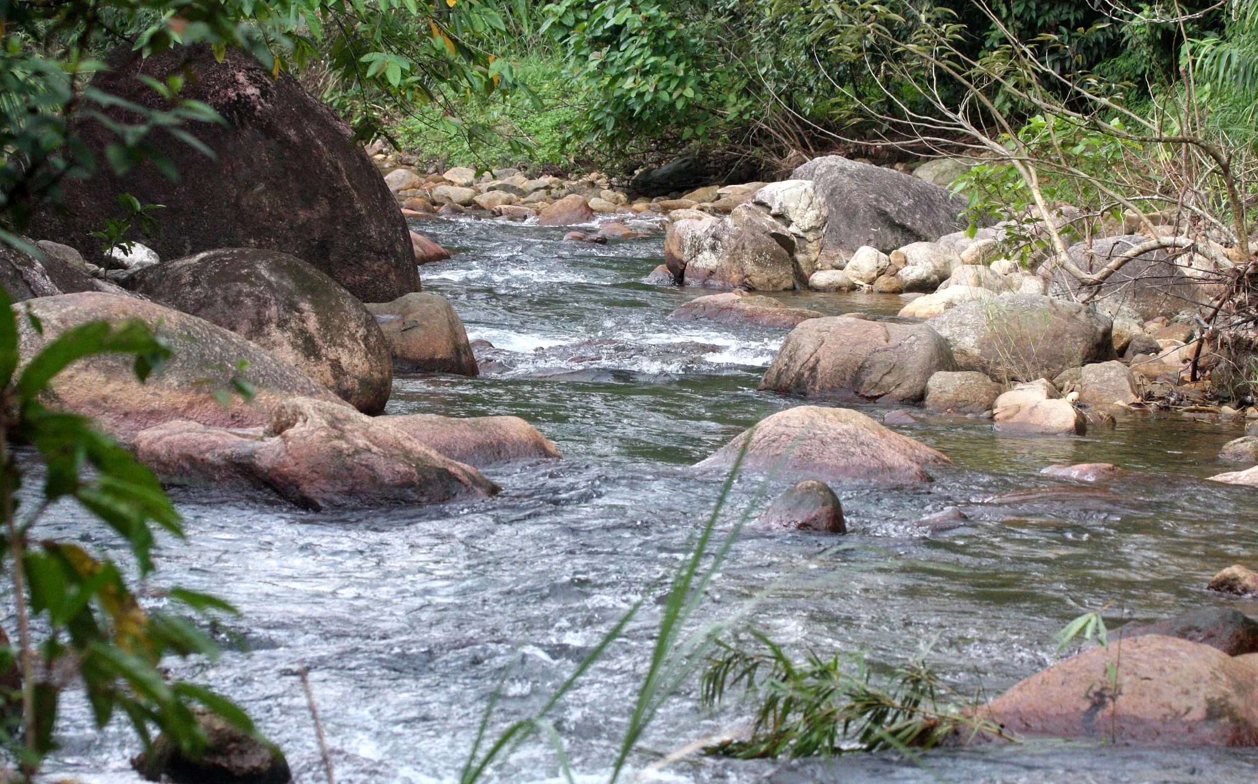 2009 Promluk Property Views (32).JPG