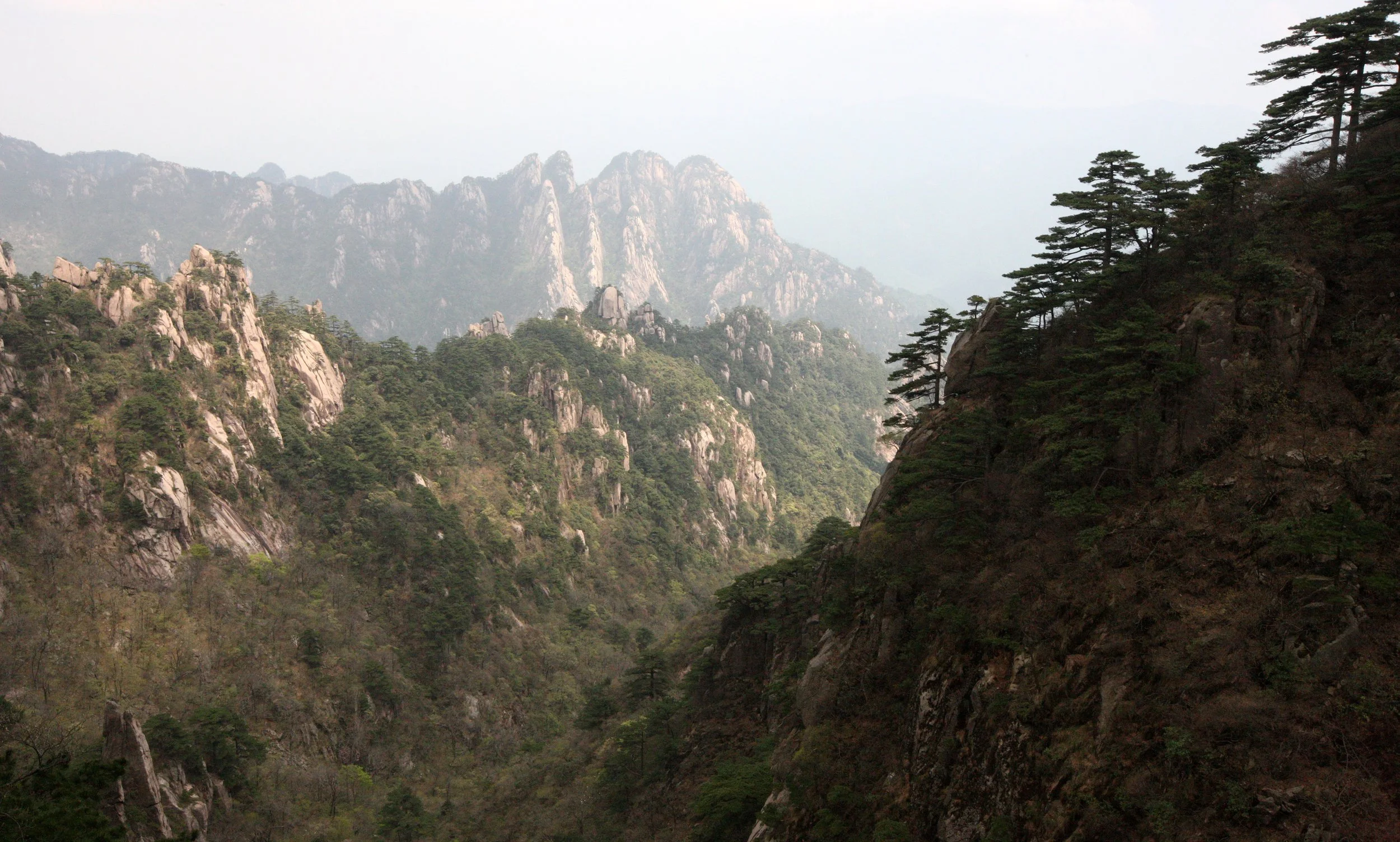 HUANGSHAN NATIONAL PARK ANHUI PROVINCE CHINA (32).JPG