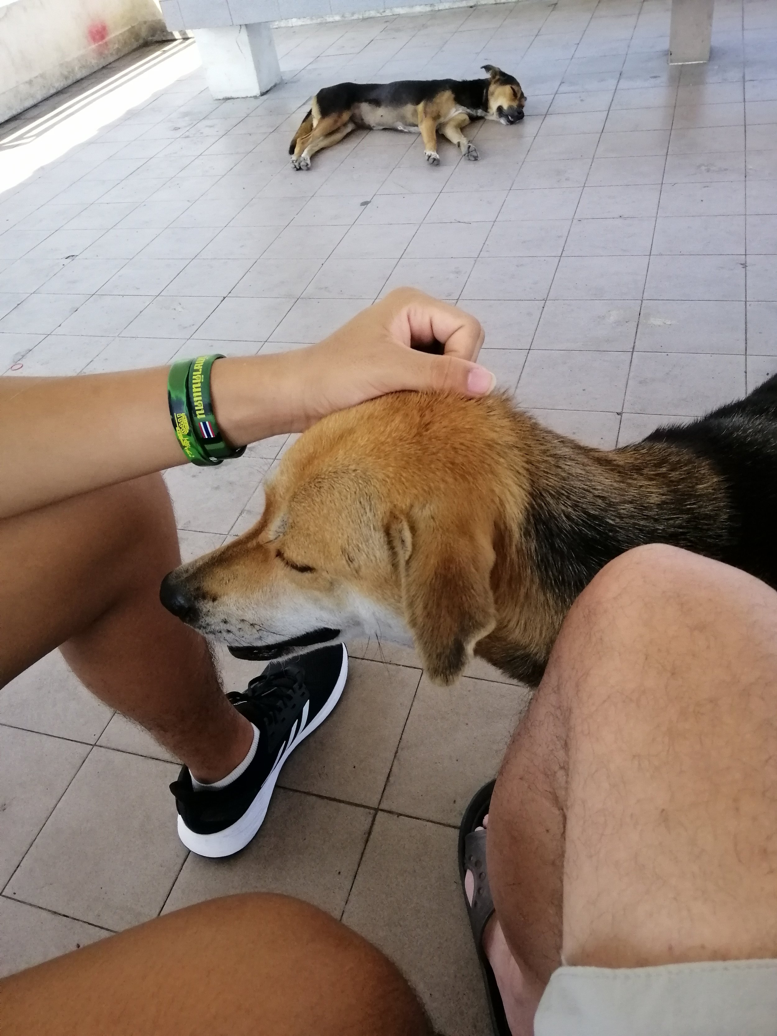 2019 Samut Prakan Motorcycle Rides with Cokie & Gift (219).jpg