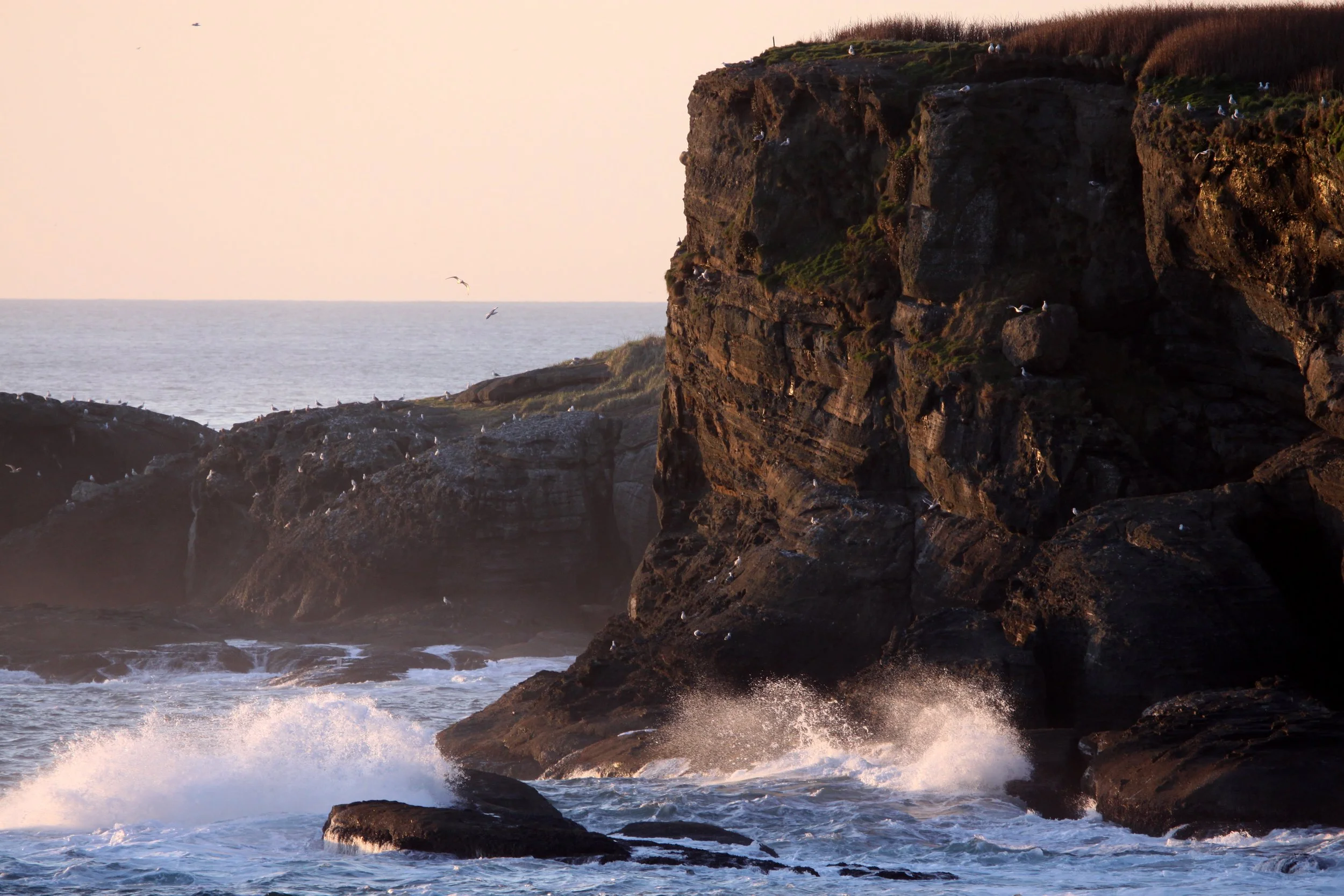CAPE FLATTERY OLYMPIC PENINSULA - 2010-2-20 (28).JPG