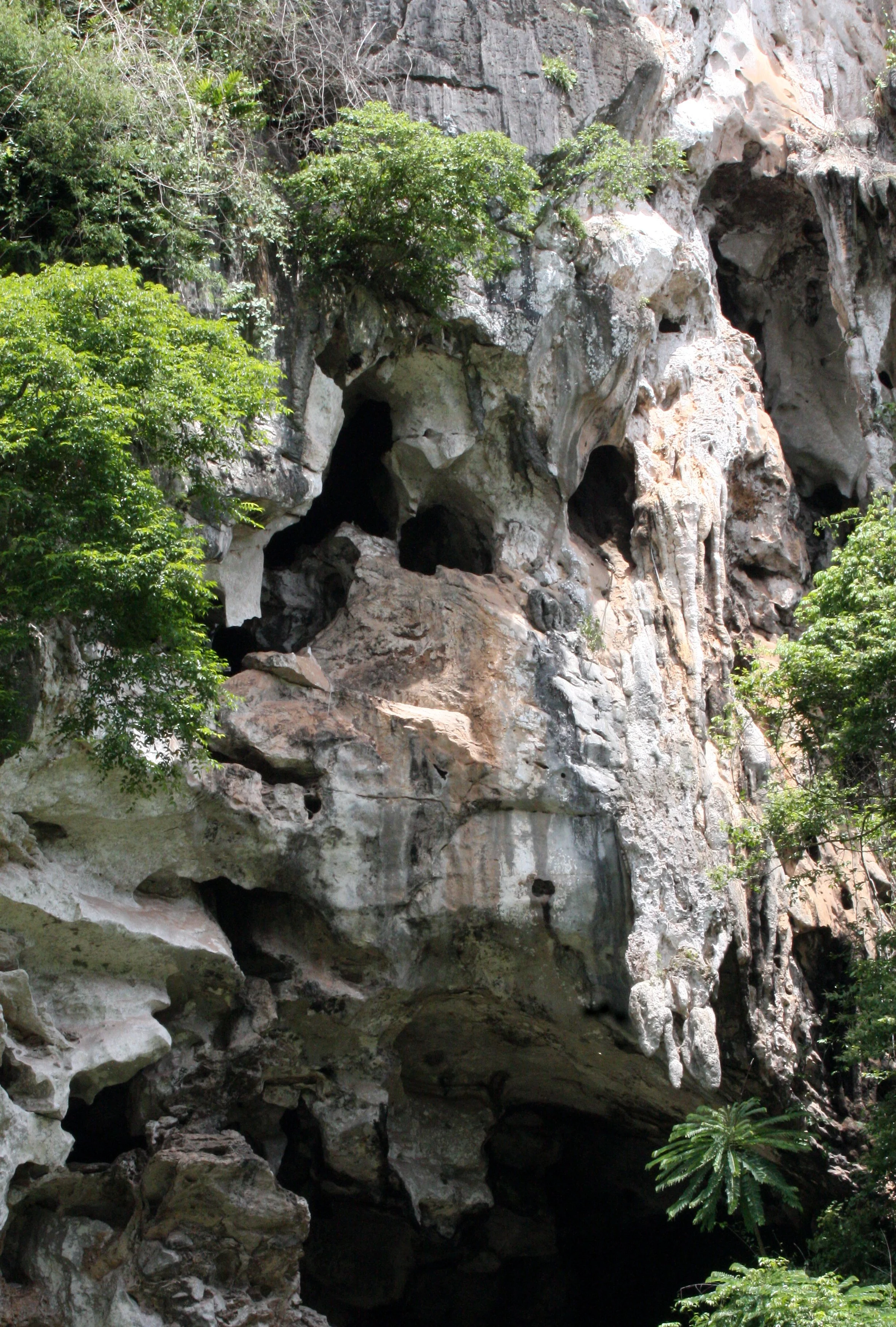 KOH LANTA - 2008 - ON THE WAY (3).JPG