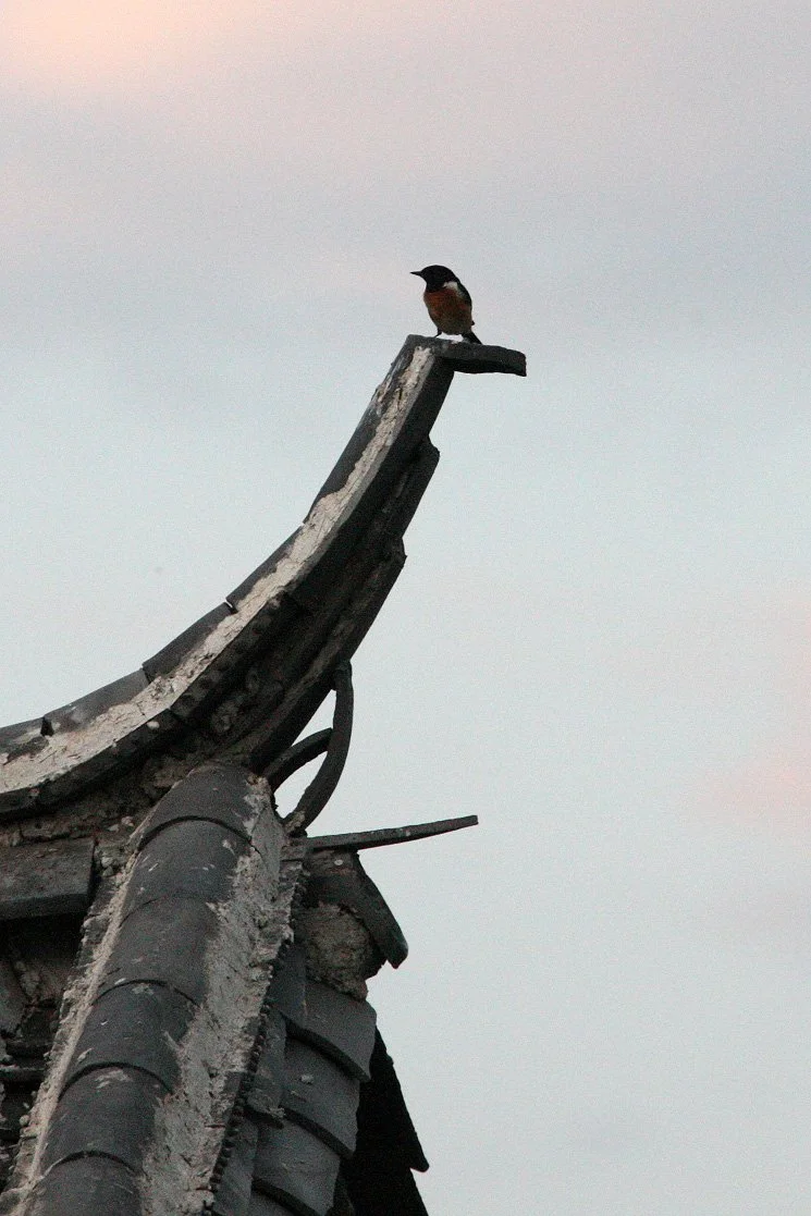 LINDEN CENTER - XIZHOU VILLAGE YUNNAN CHINA (55).JPG