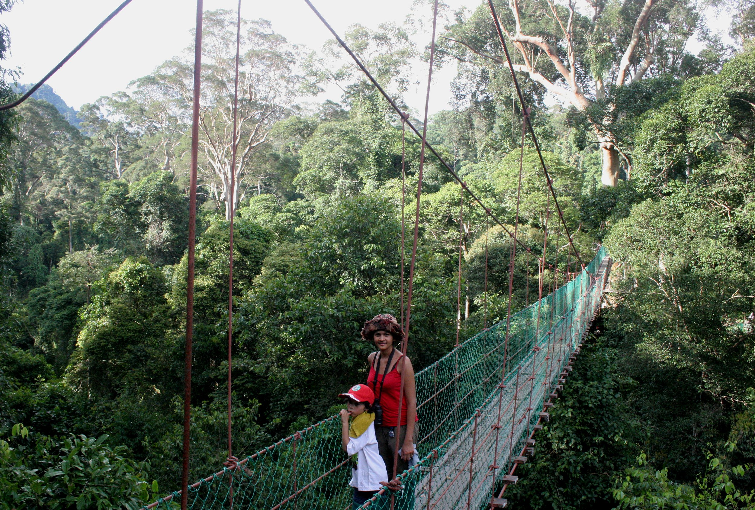 DANUM VALLEY BORNEO - CANOPY WALKWAY -  BRL (12).JPG