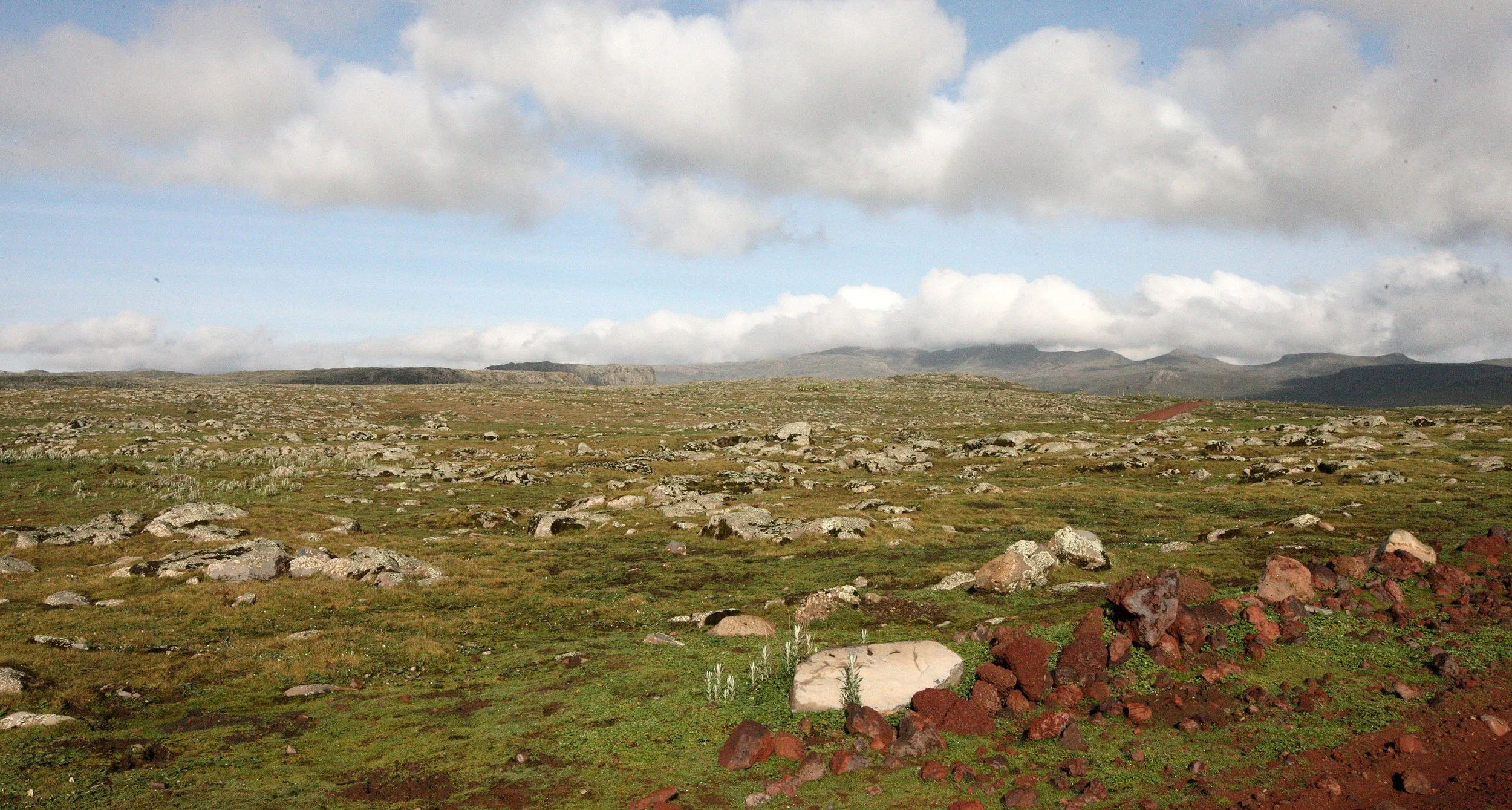 BALE MOUNTAINS NATIONAL PARK ETHIOPIA - SANETTI PLATEAU (48).JPG