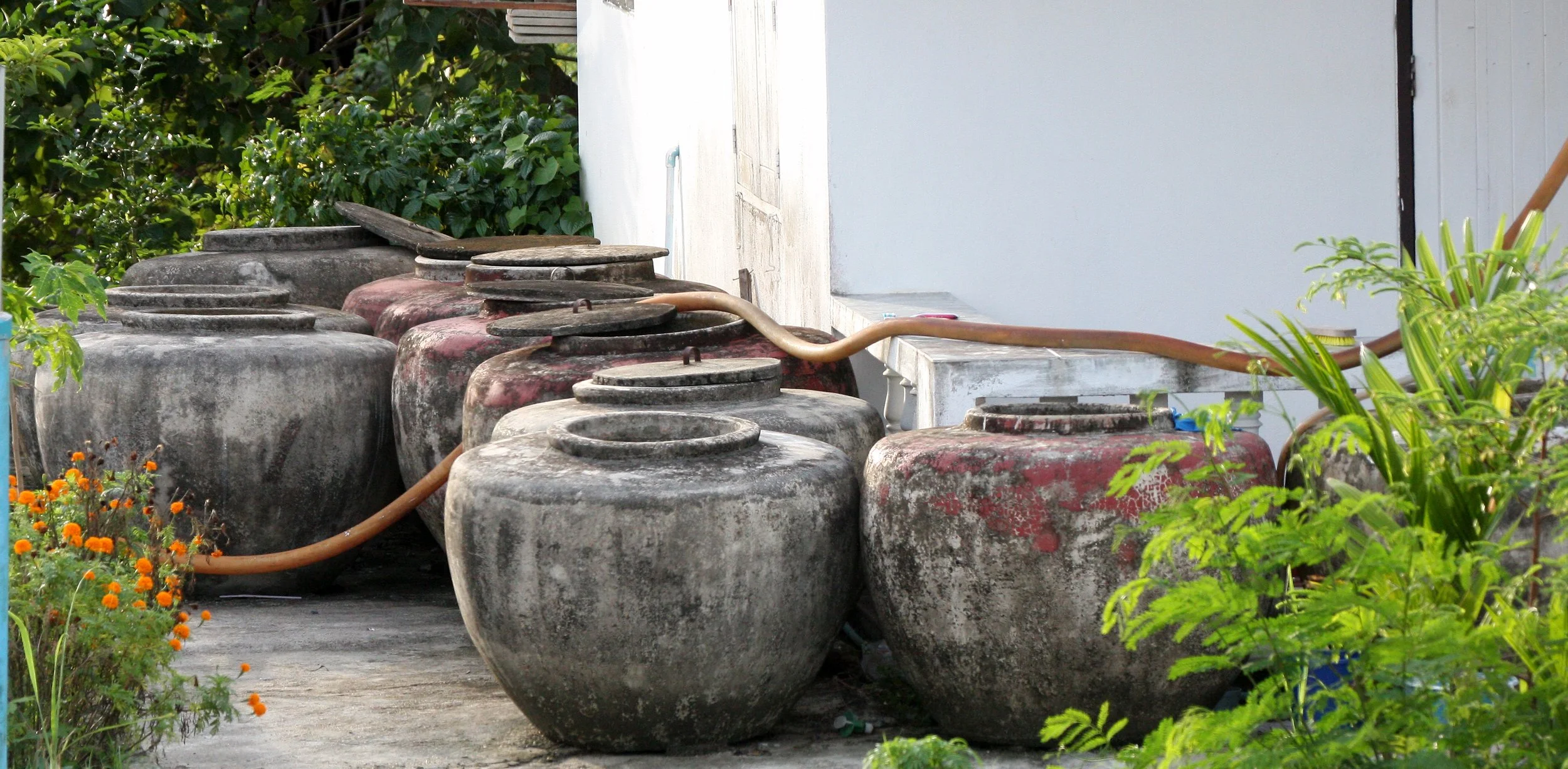 2008 Nakhonsithammarat Pak Nakhon (14).JPG