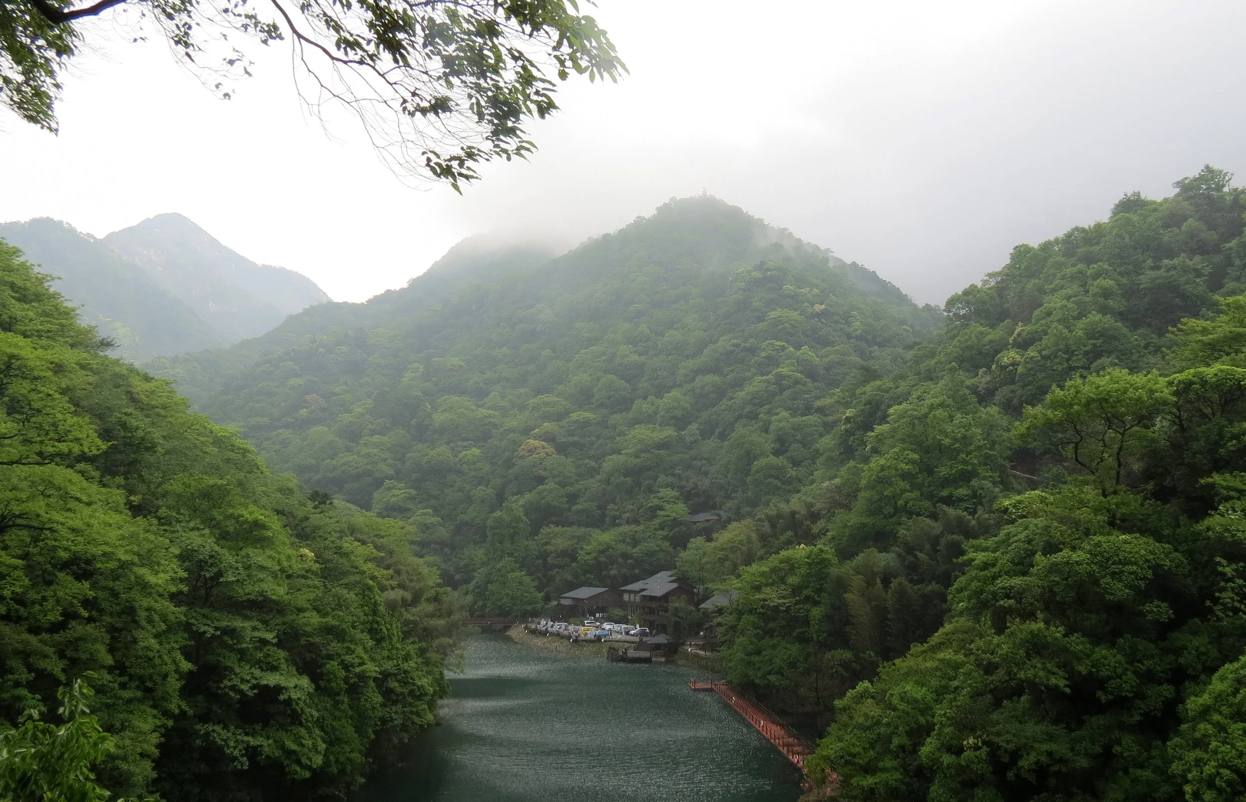 GUNIUJIANG NATURE RESERVE - ANHUI PROVINCE CHINA (53).JPG