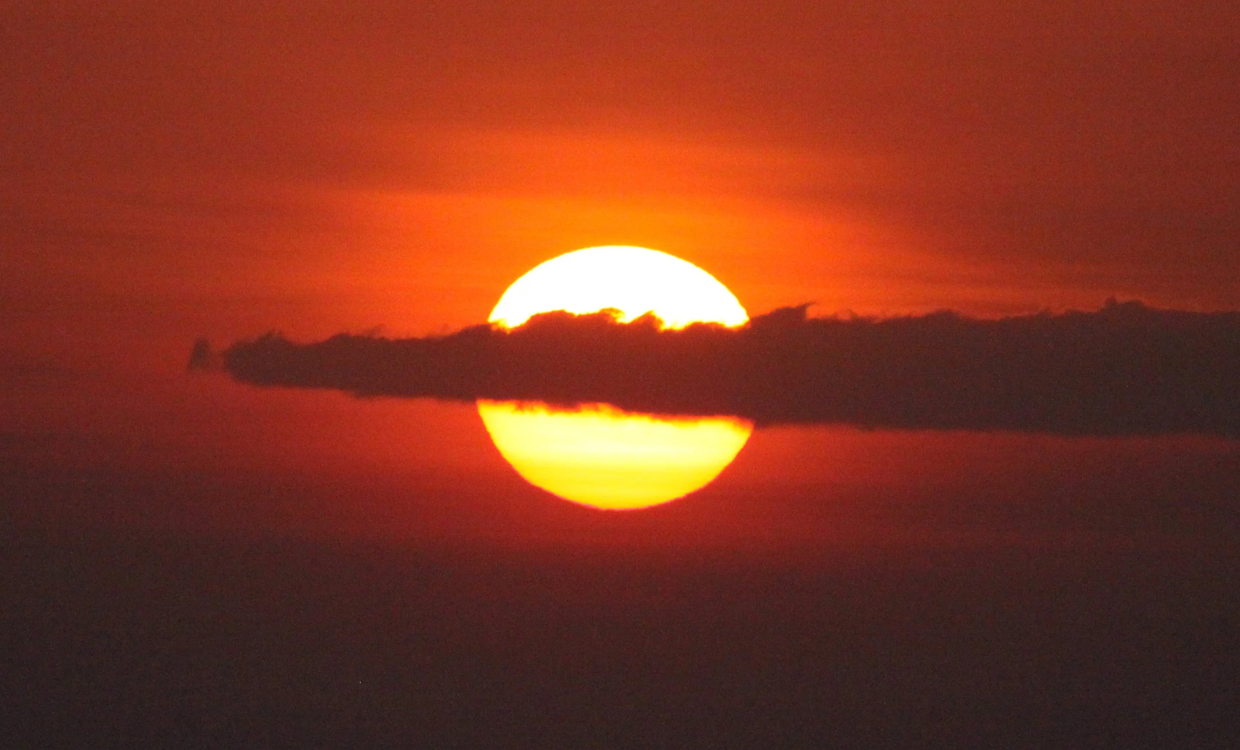 MASAI MARA NATIONAL PARK KENYA (194).JPG