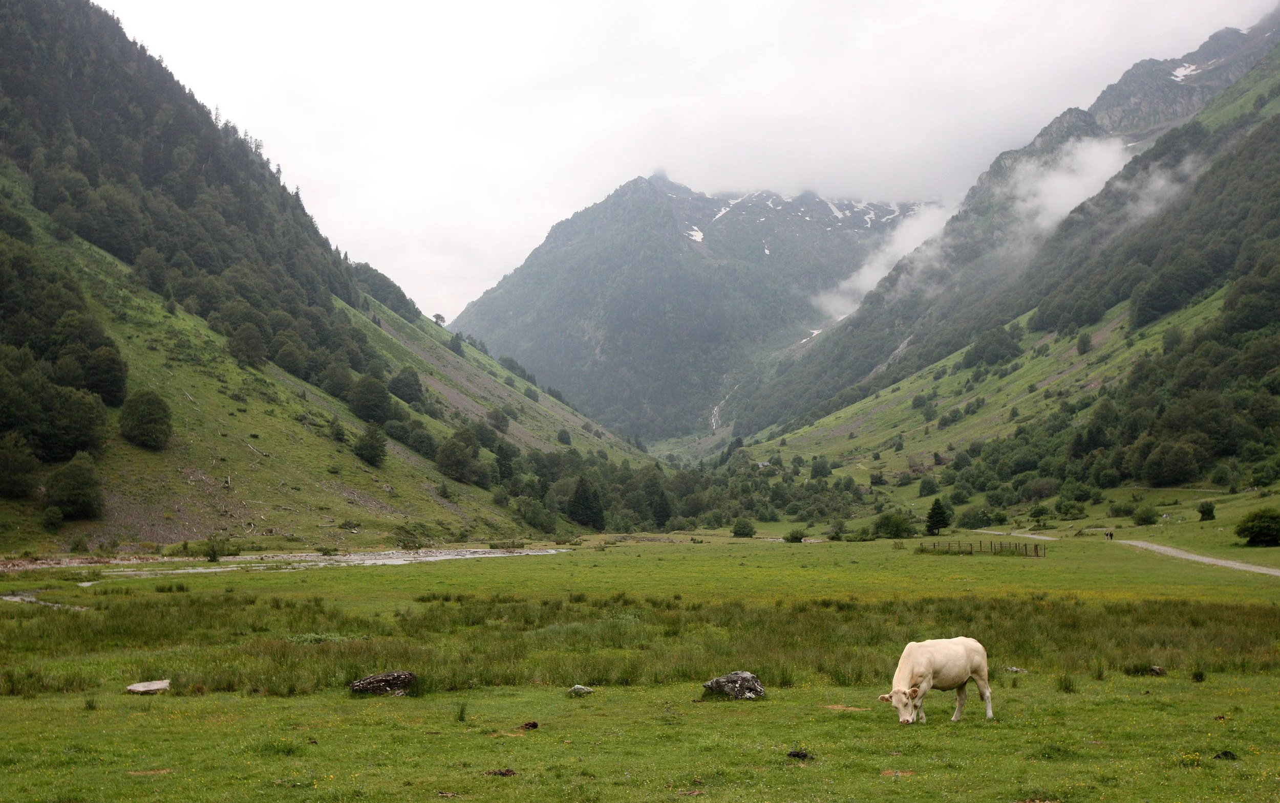ARRENS-MARSOUS PYRENEES NATIONAL PARK FRANCE (3).JPG
