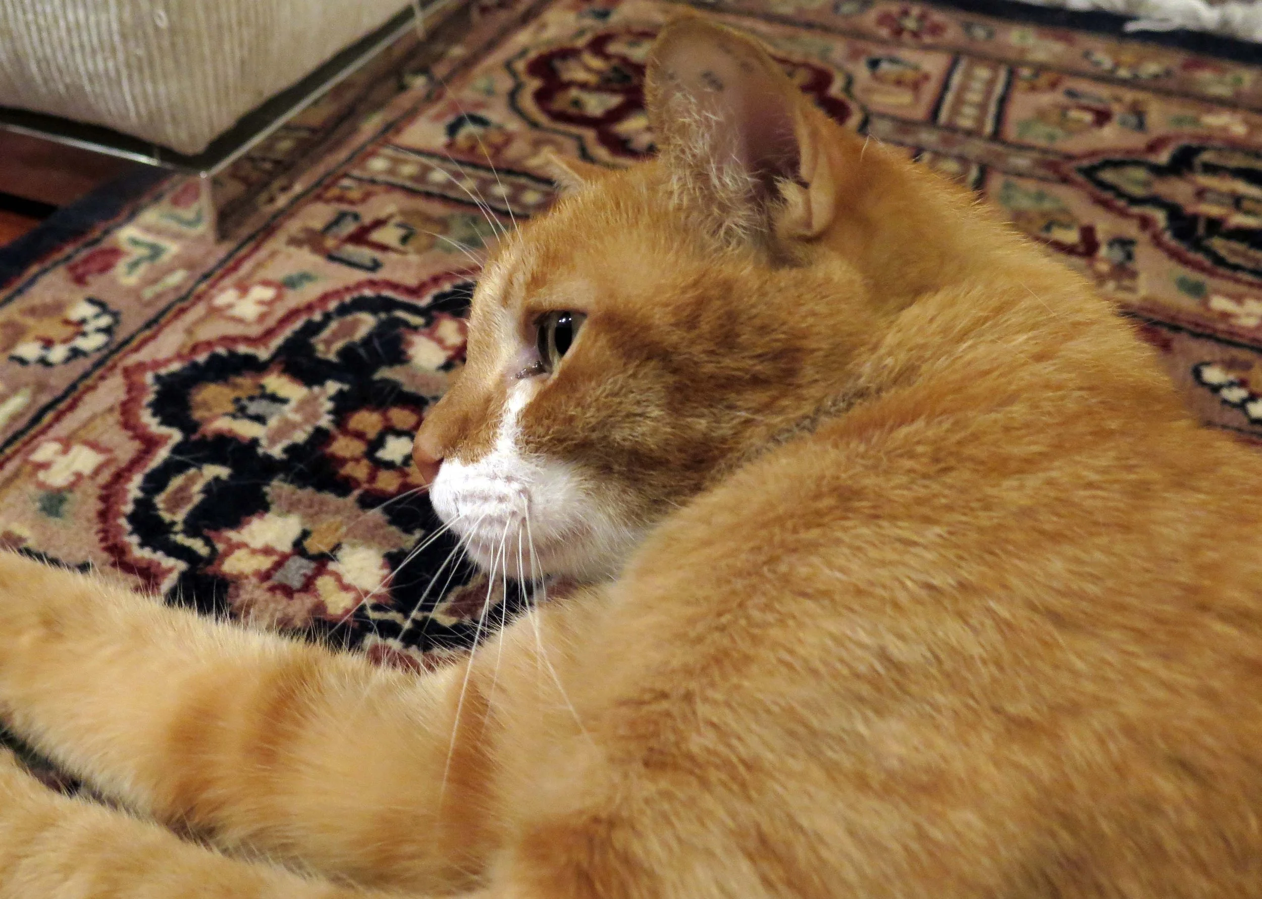 2013 - BANGKOK - NOVEMBER 2013 - MARCH 2014 (12).JPG