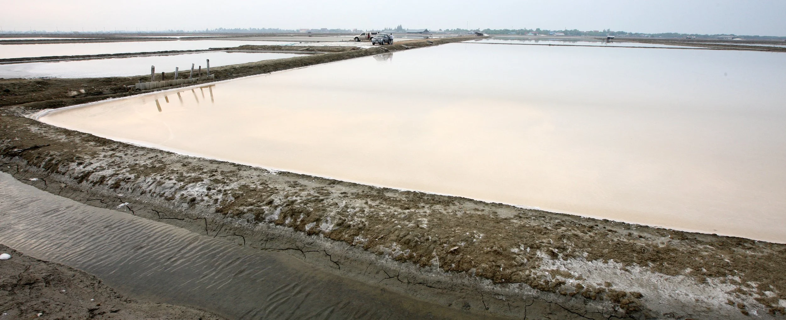 2011 Pak Thale Salt Ponds (9).JPG