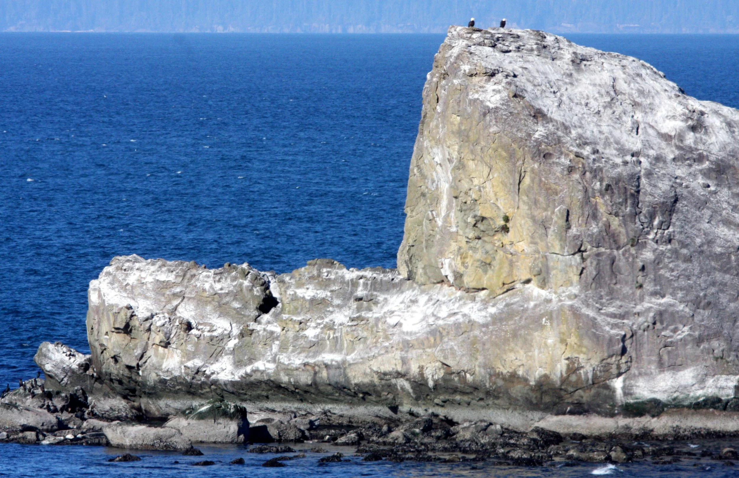 CAPE FLATTERY OLYMPIC PENINSULA - 2010-2-20.JPG