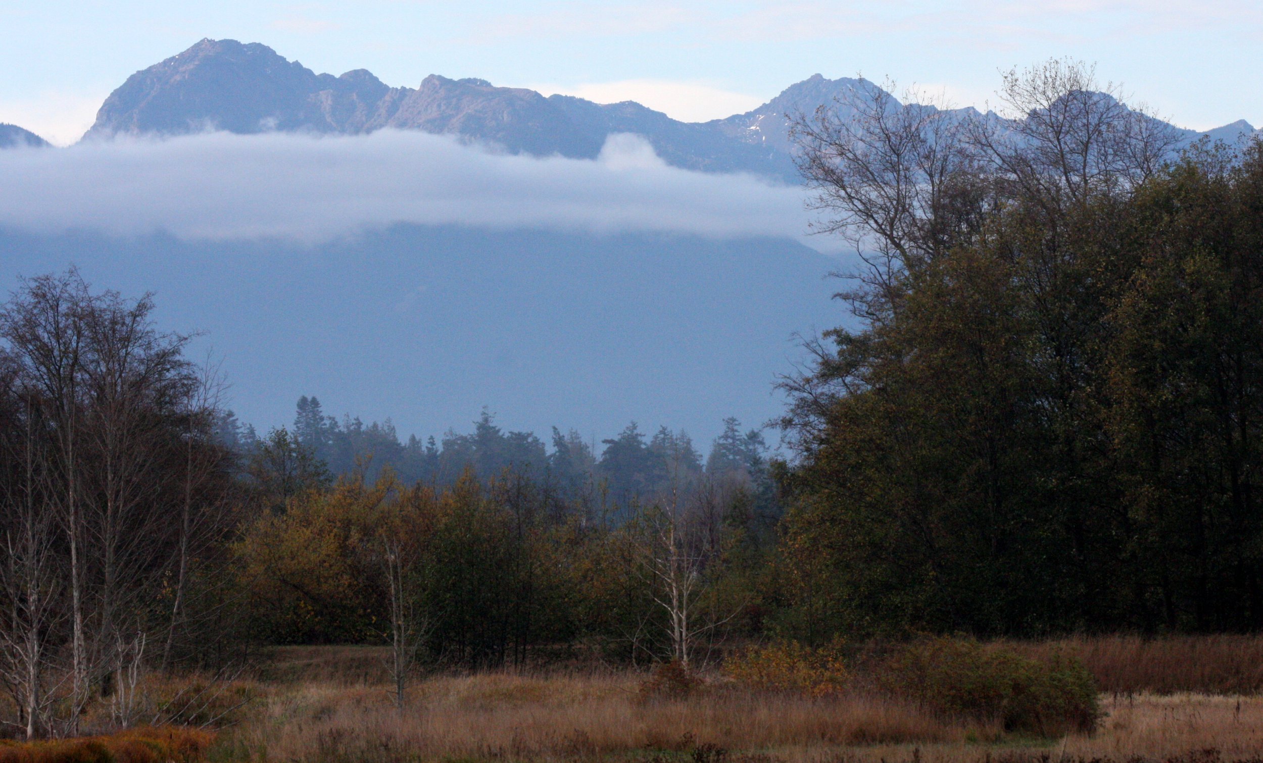 SEQUIM PRAIRIE - VIEW OF KLAHANE RIDGE (3).JPG