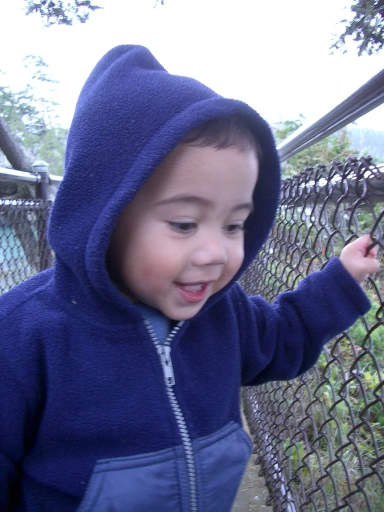 2003-10-11 TRIP TO WESTEND OF OLYMPIC PEN AND SOL DUC FALLS (29).JPG