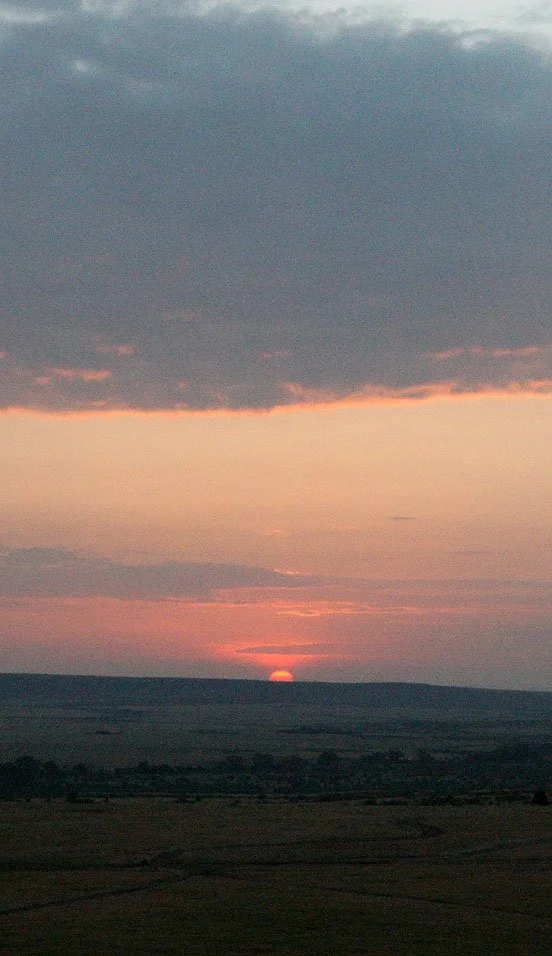 MASAI MARA NATIONAL PARK KENYA (68).JPG