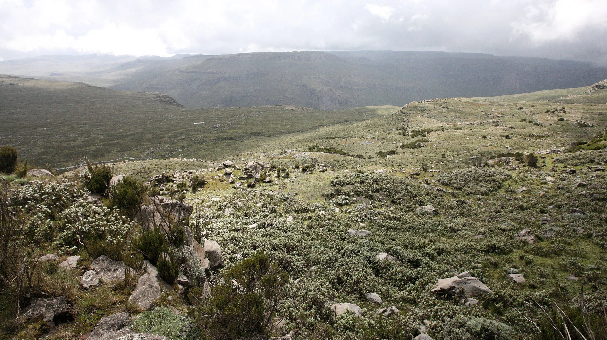 BALE MOUNTAINS NATIONAL PARK - SANETTI PLATEAU (36).JPG