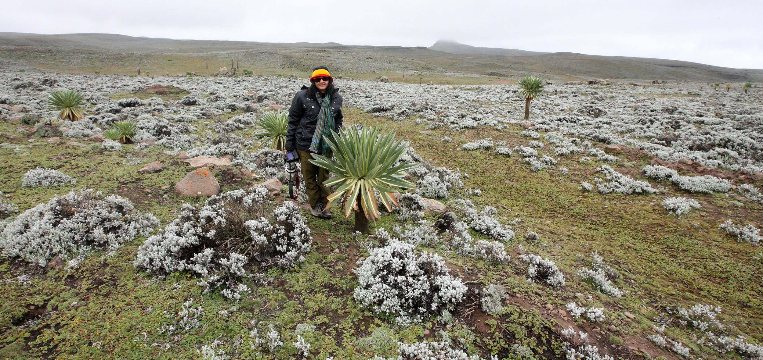 BALE MOUNTAINS NATIONAL PARK ETHIOPIA - SANETTI PLATEAU (28).JPG