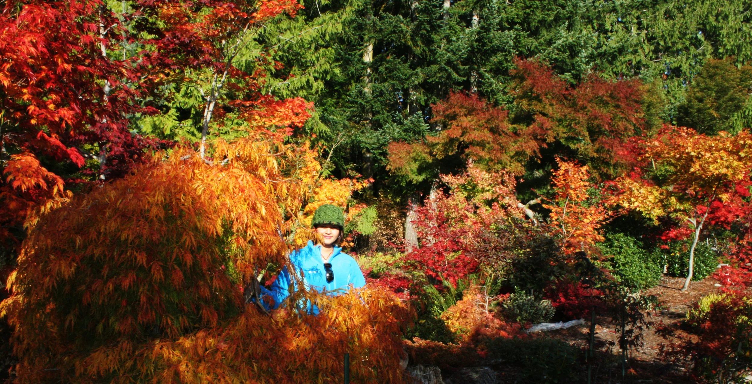 2008-10-26 MAPLE AND MERLOT - ELWHA RIVER VALLEY WA (17).JPG