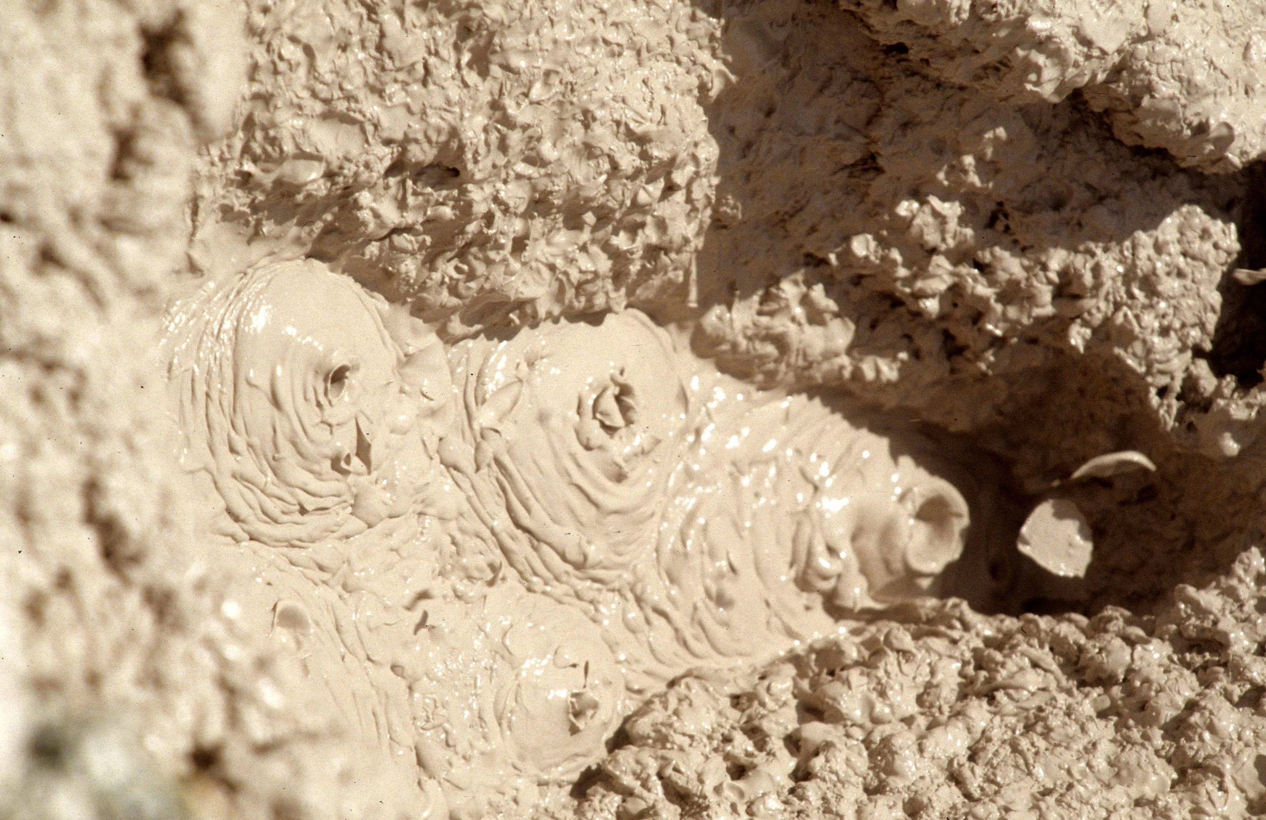 YELLOWSTONE - MUDPOT.jpg