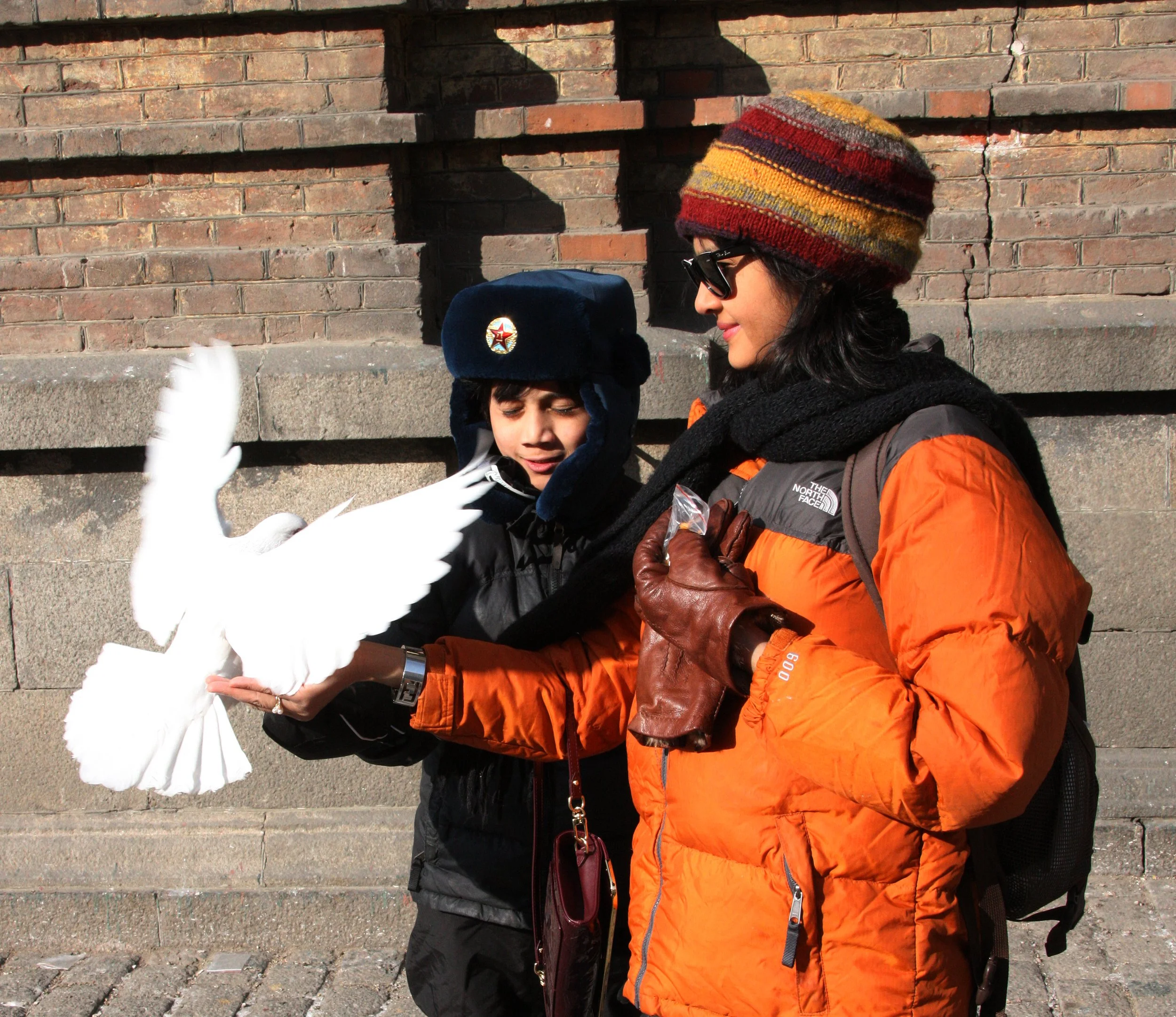 BIRD - PIGEON - HARBIN SAINT SOPHIA'S CATHEDRAL CHINA (26).JPG