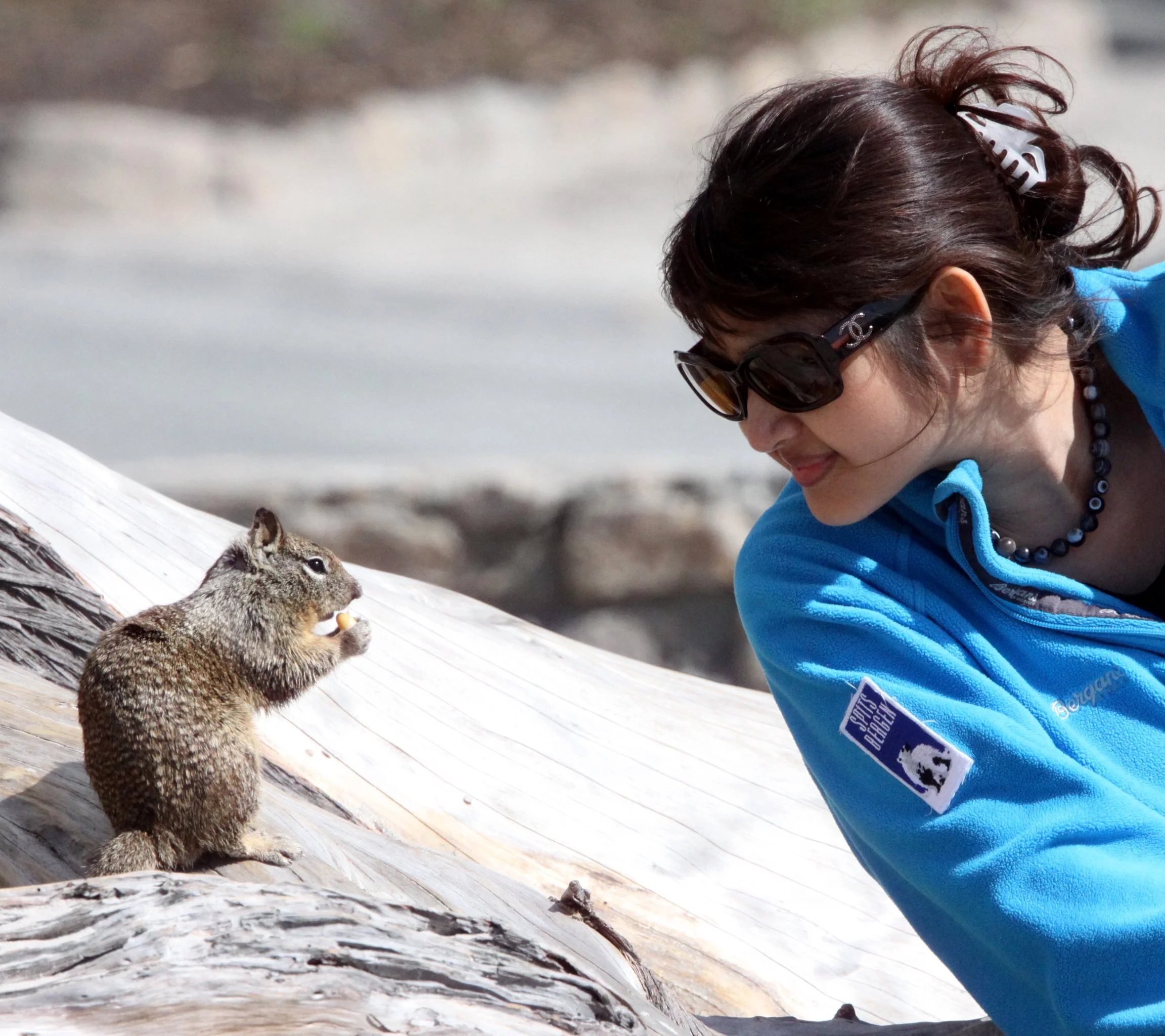 2010-4-1 CARMEL  - ROADTRIP 2010 (3).JPG