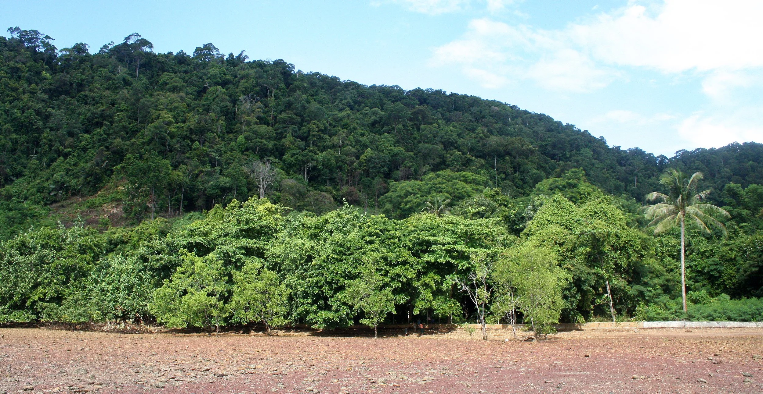 KOH LANTA - 2008 - VIEWS OF AND FROM THE PROPERTY (15).JPG