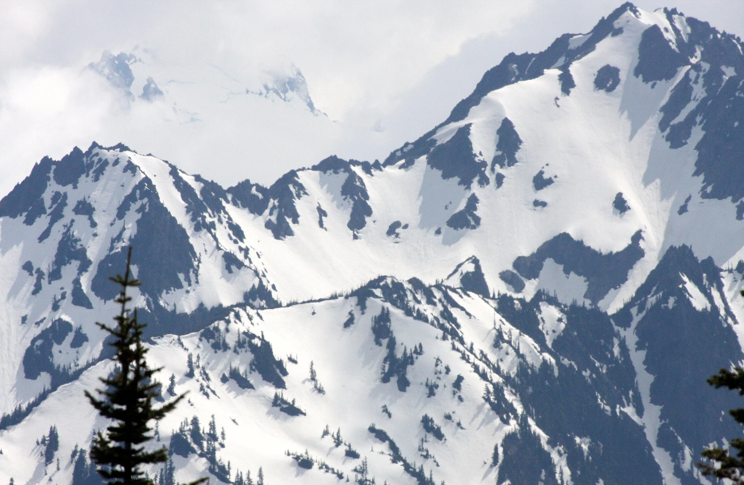 OLYMPIC NATIONAL PARK - VIEWS OF AND FROM (16).JPG
