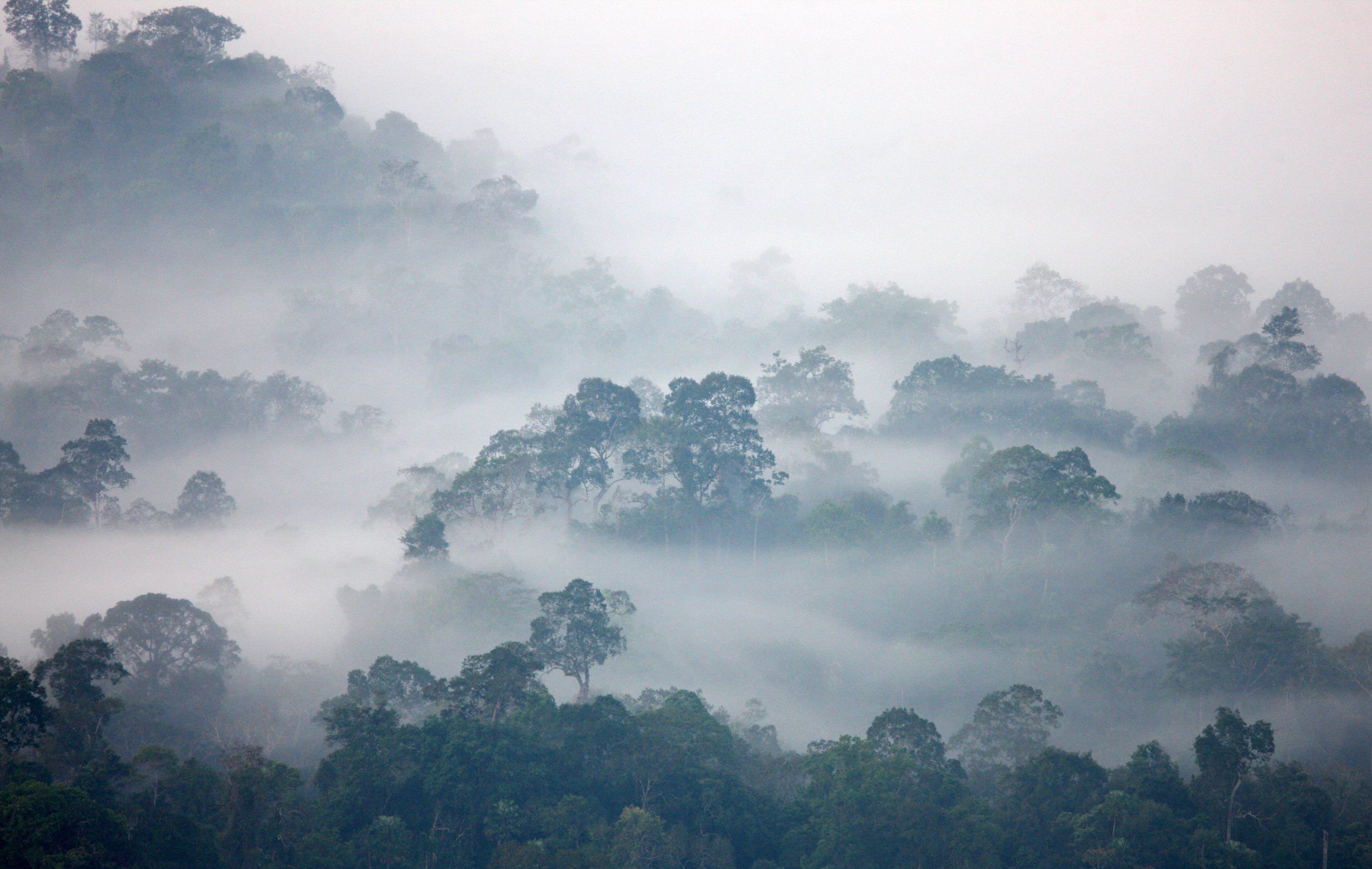 KAENG KRACHAN NATIONAL PARK THAILAND - THALE MOG (7).JPG