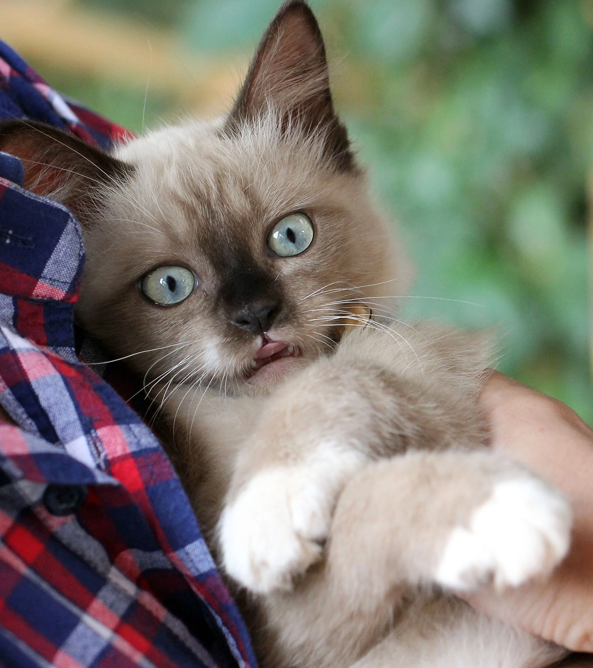 2015 Koh Lanta October Break Trip  (149).JPG