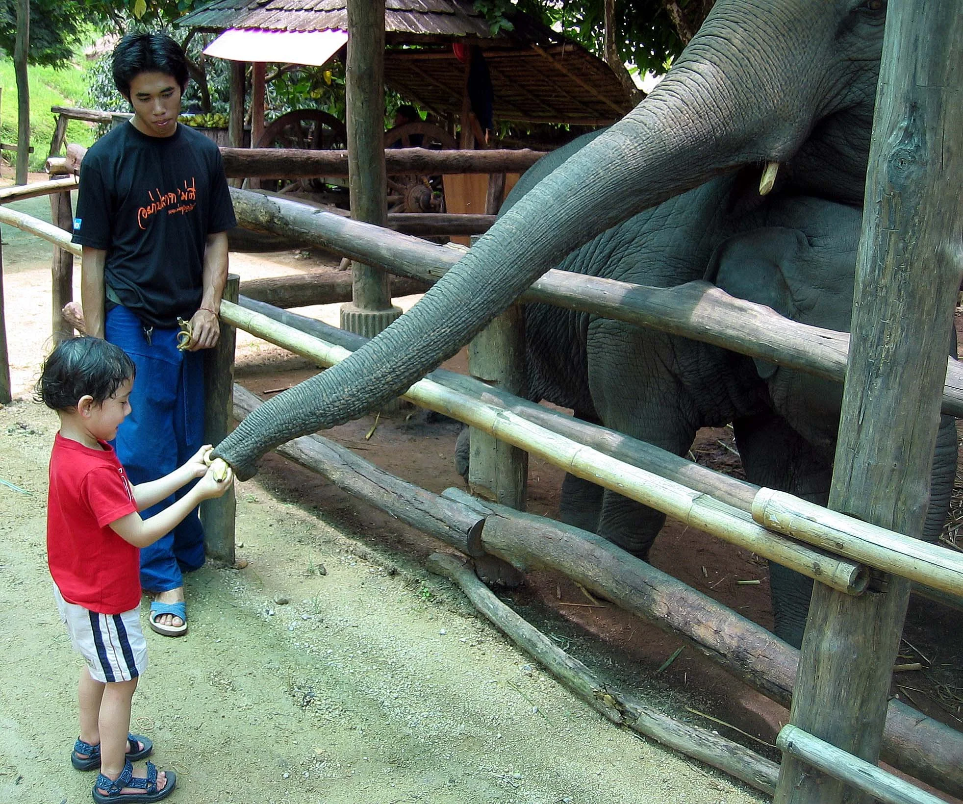 2008 Lampang City & Elephant Center (129).jpg