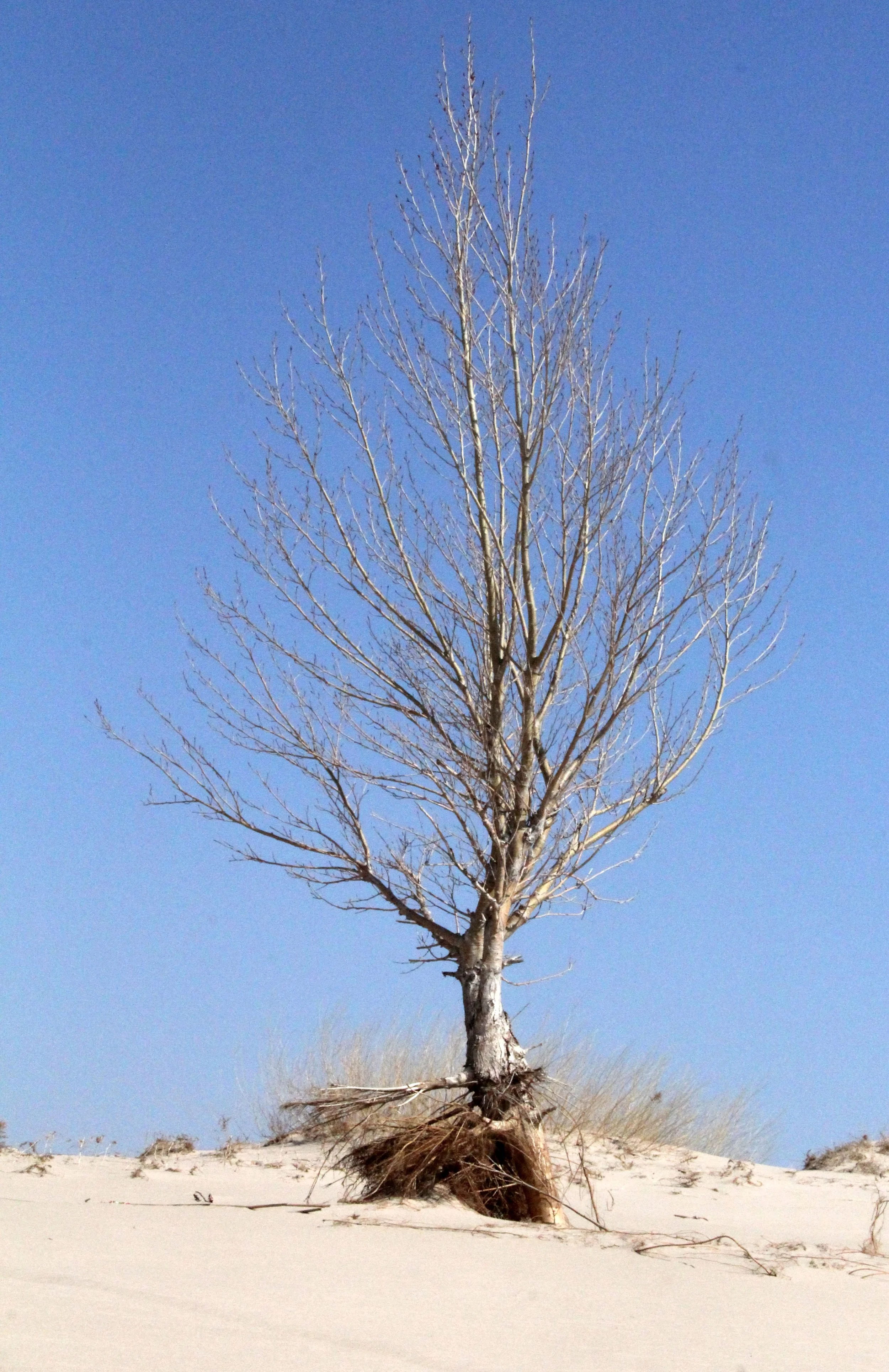 INNER MONGOLIA 2013 (833).JPG