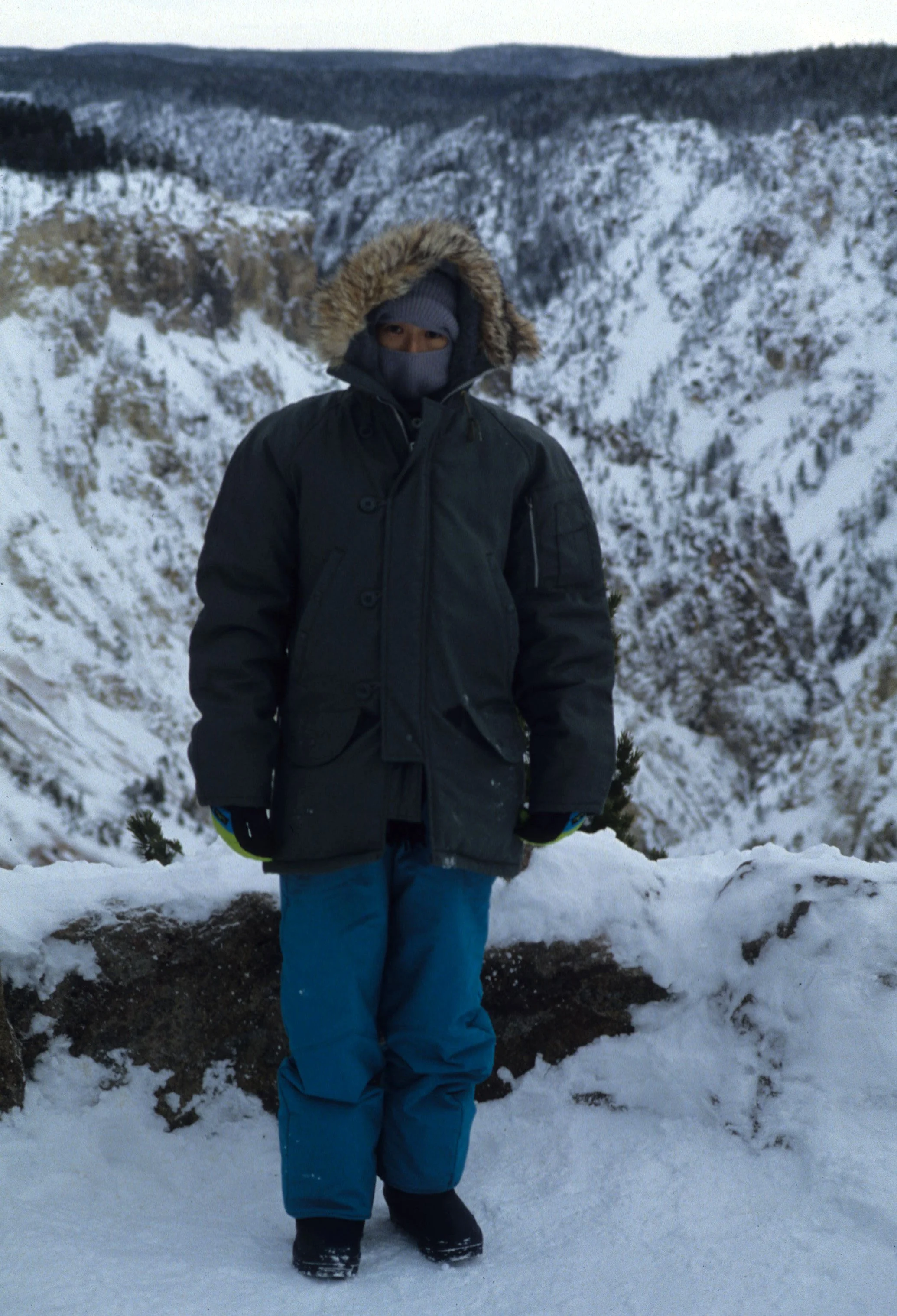 YELLOWSTONE IN WINTER II.jpg