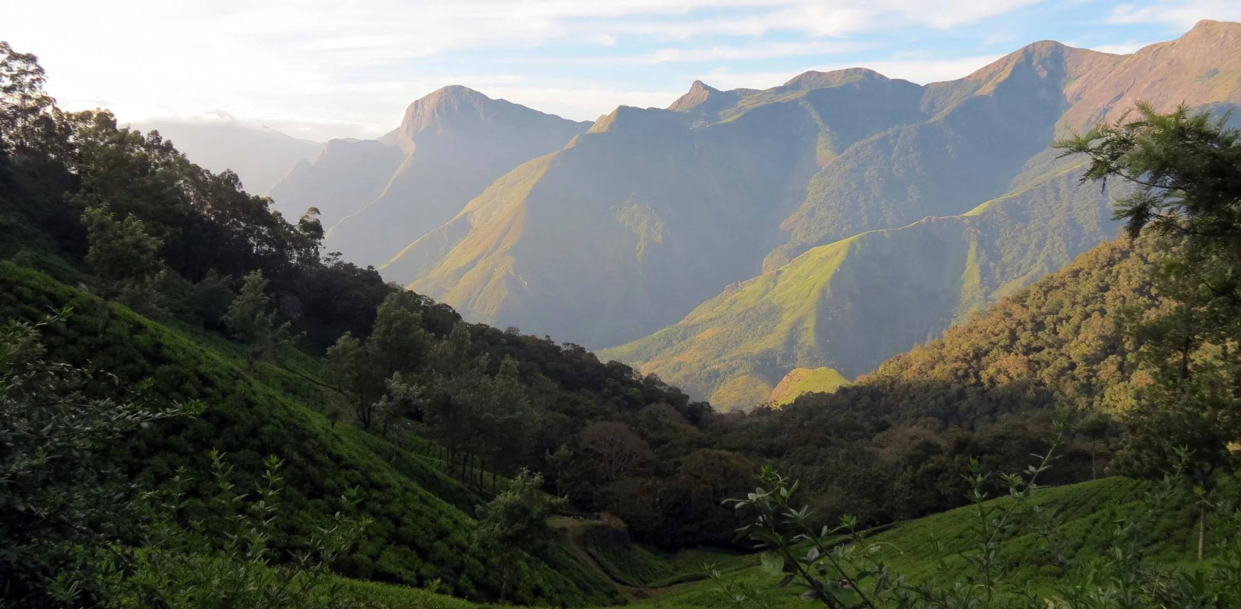 Pampadum Shola National Park