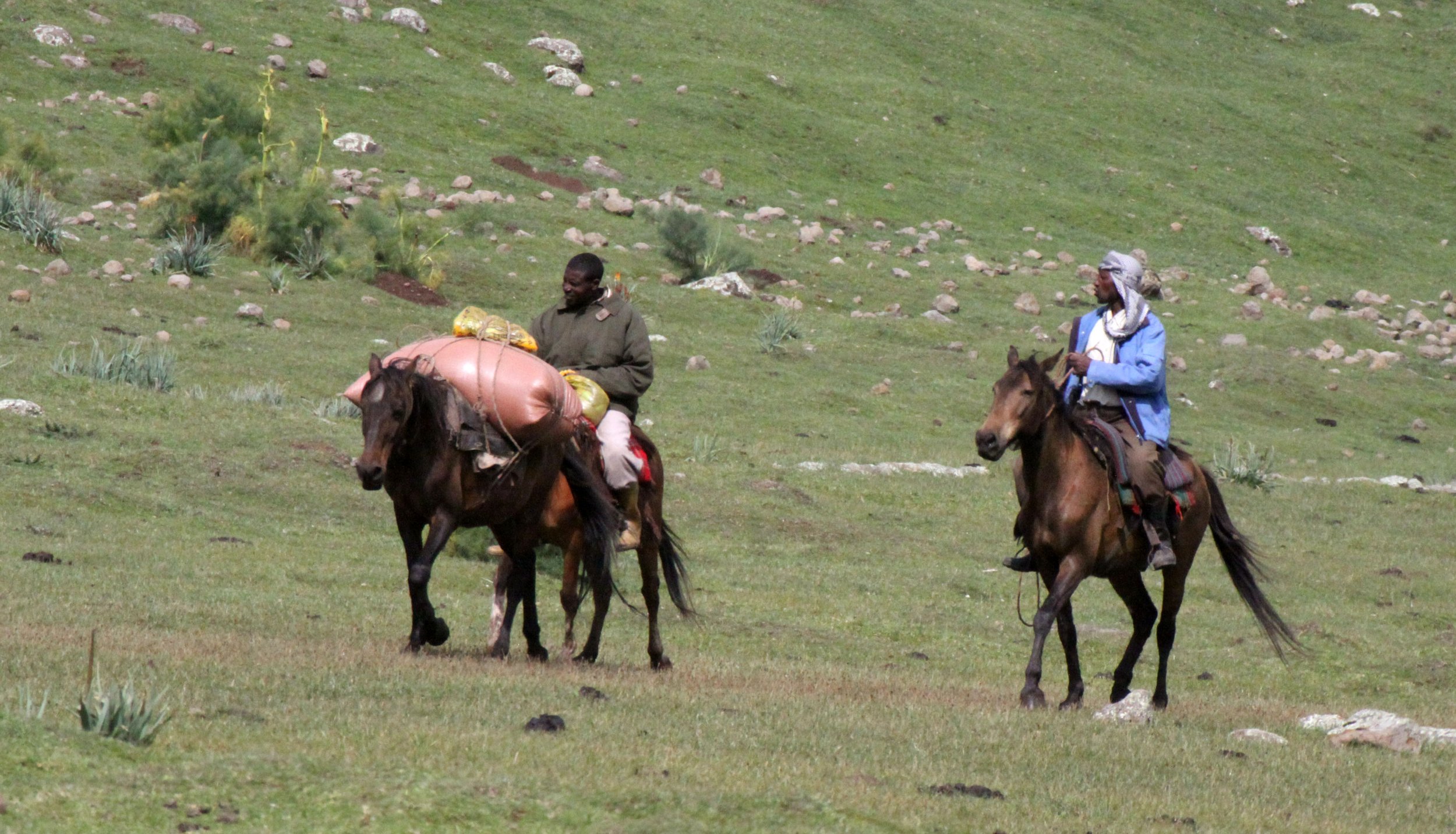 BALE MOUNTAINS NATIONAL PARK ETHIOPIA - GAYSAY GRASSLANDS (9).JPG