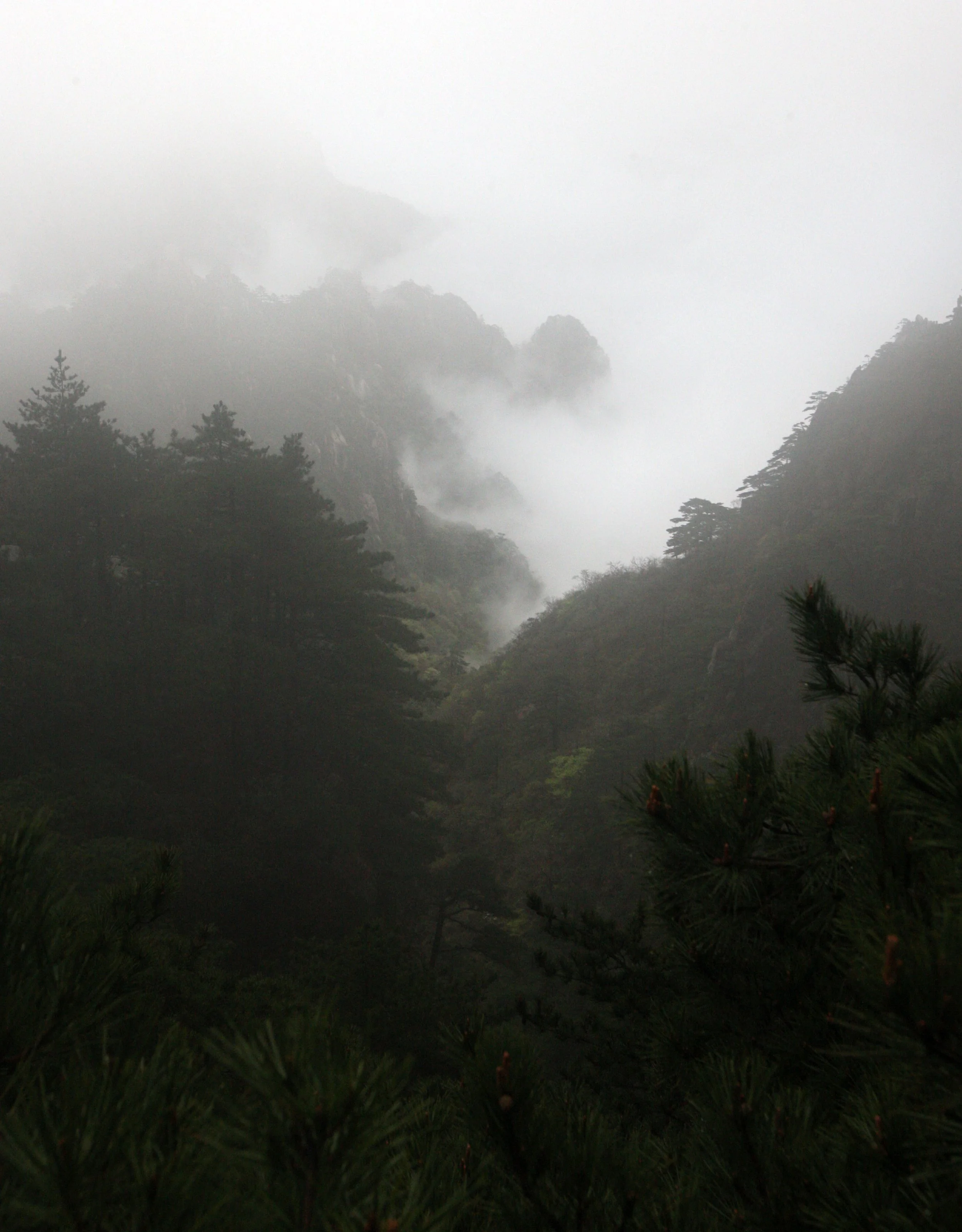 HUANGSHAN NATIONAL PARK ANHUI PROVINCE CHINA (238).JPG