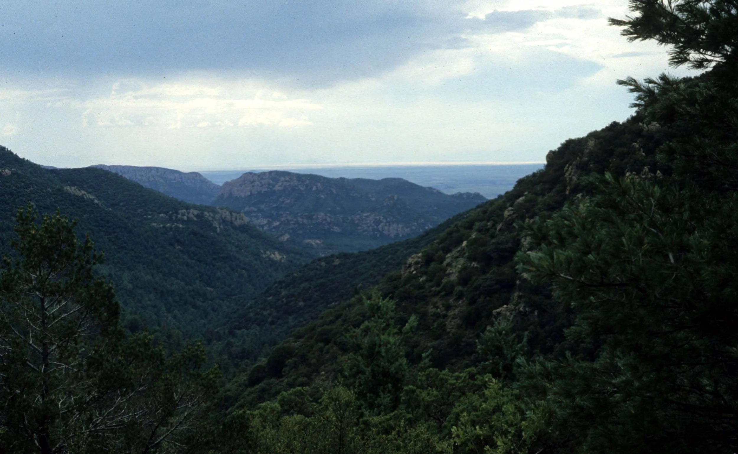 ARIZONA - MADERA CANYON REGION - CORONADO NAT MON.jpg