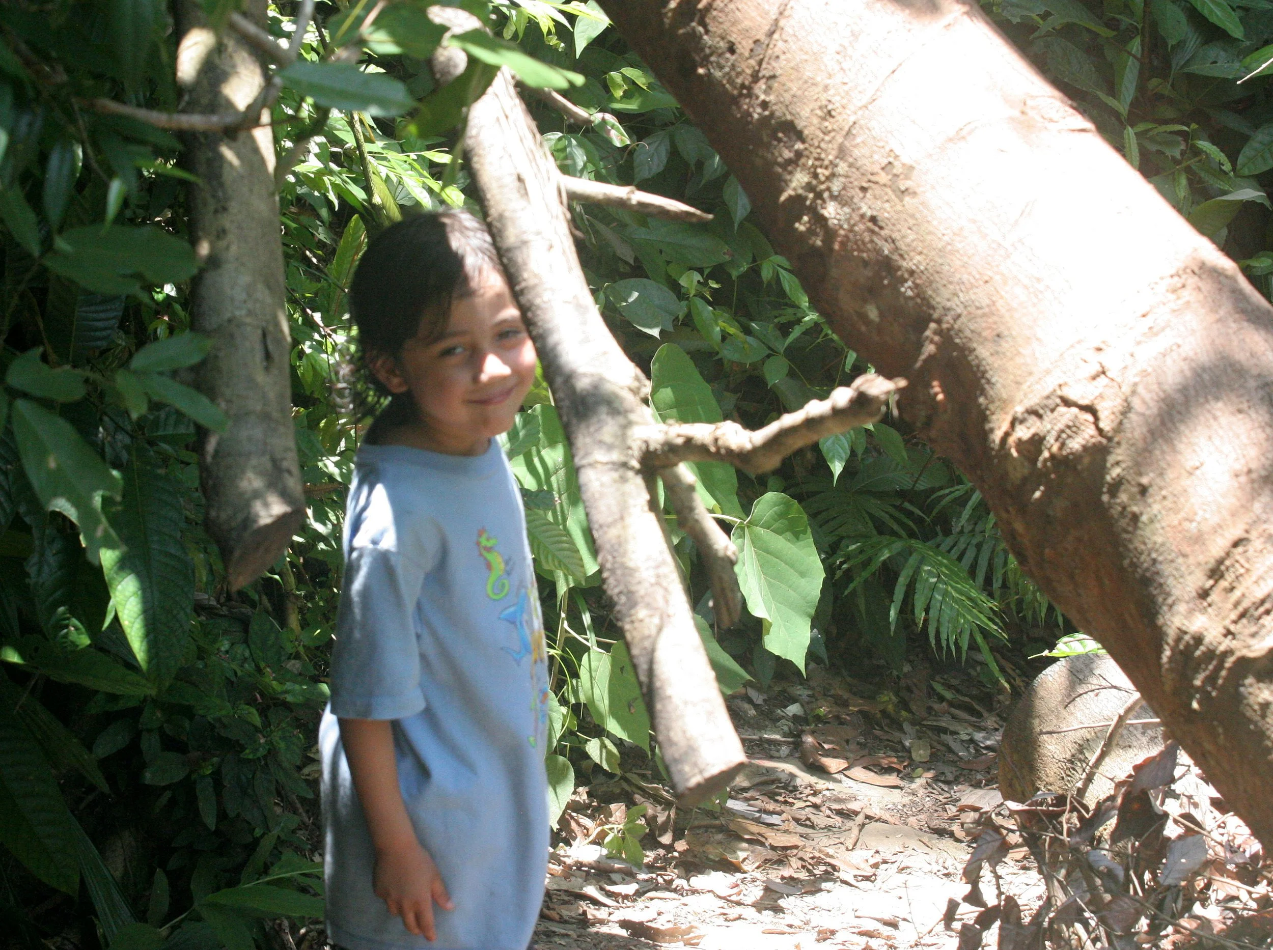 2008 Khao Luang NP Krung Chin Waterfalls Area (23).JPG