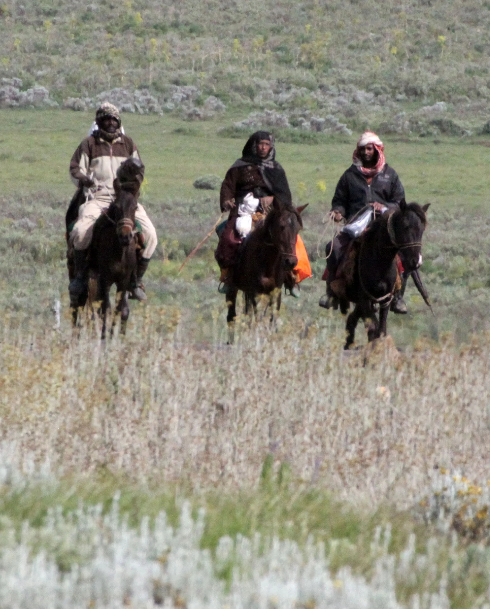 BALE MOUNTAINS NATIONAL PARK ETHIOPIA - GAYSAY GRASSLANDS (16).JPG