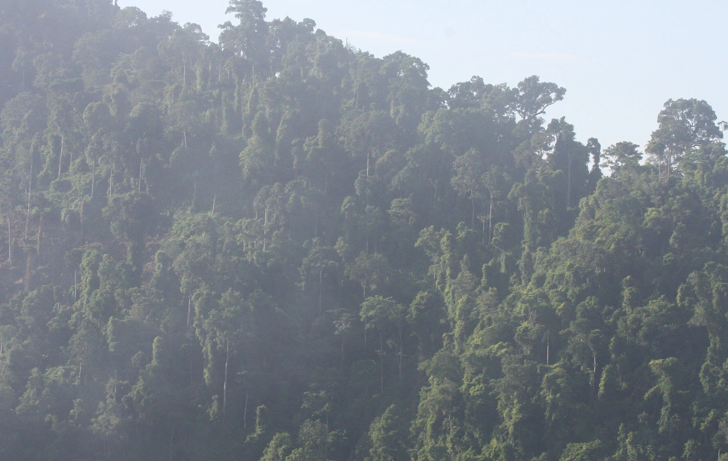 KRUNG CHIN NP - THALE MOG VIEW POINT THAILAND (11).JPG