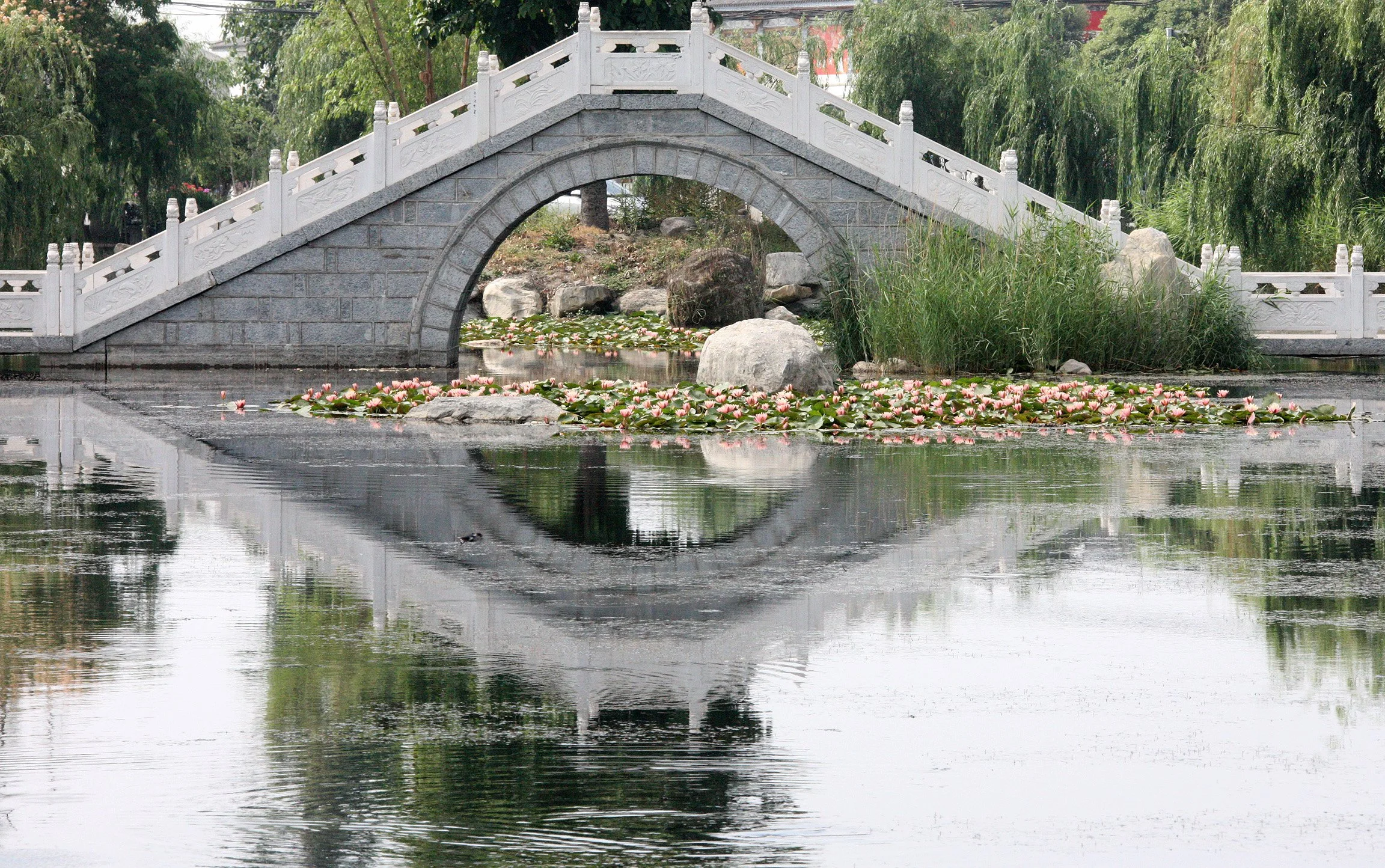 LINDEN CENTER - XIZHOU VILLAGE YUNNAN CHINA (201).JPG