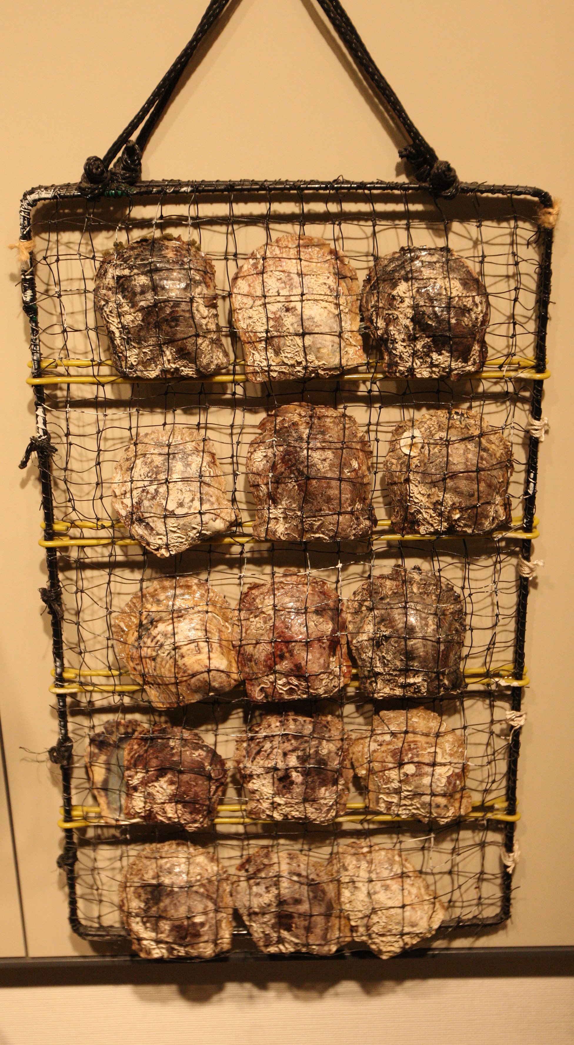 MIKIMOTO PEARL ISLAND AND MUSEUM - TOBA JAPAN (12).JPG