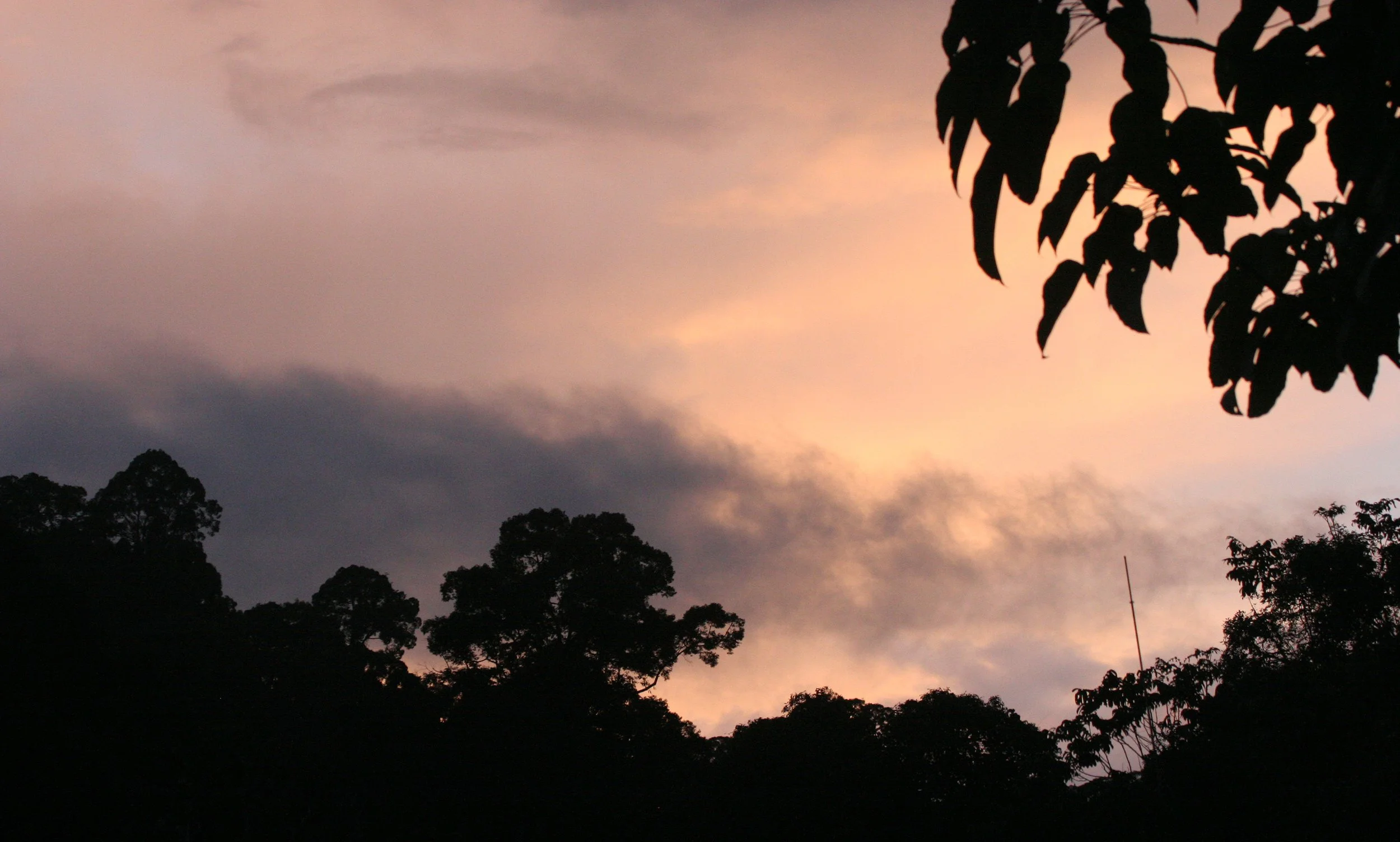 DANUM VALLEY BORNEO - SUNSET.JPG