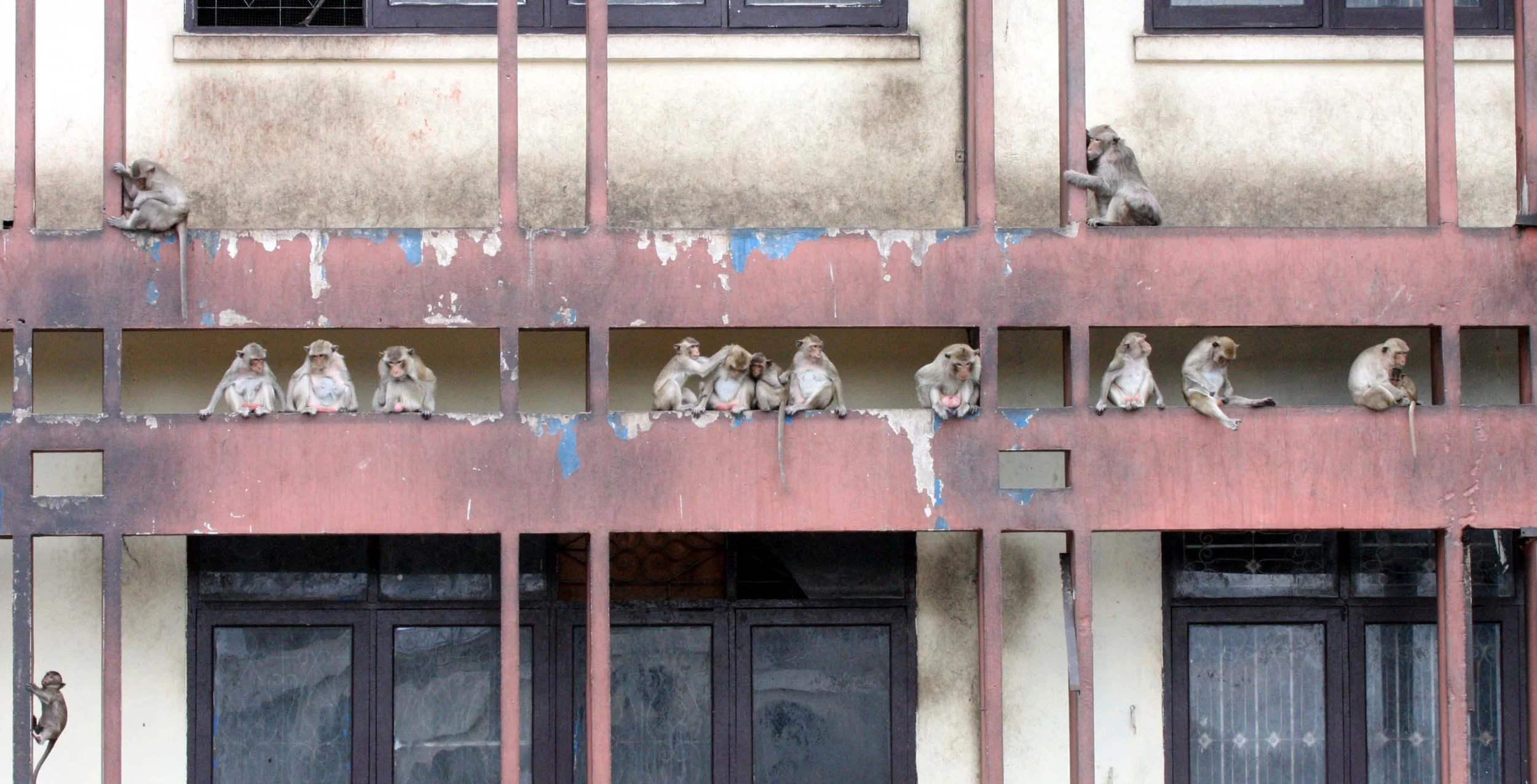 2008 Lopburi Road Trip with Macaques and Temples (35).JPG