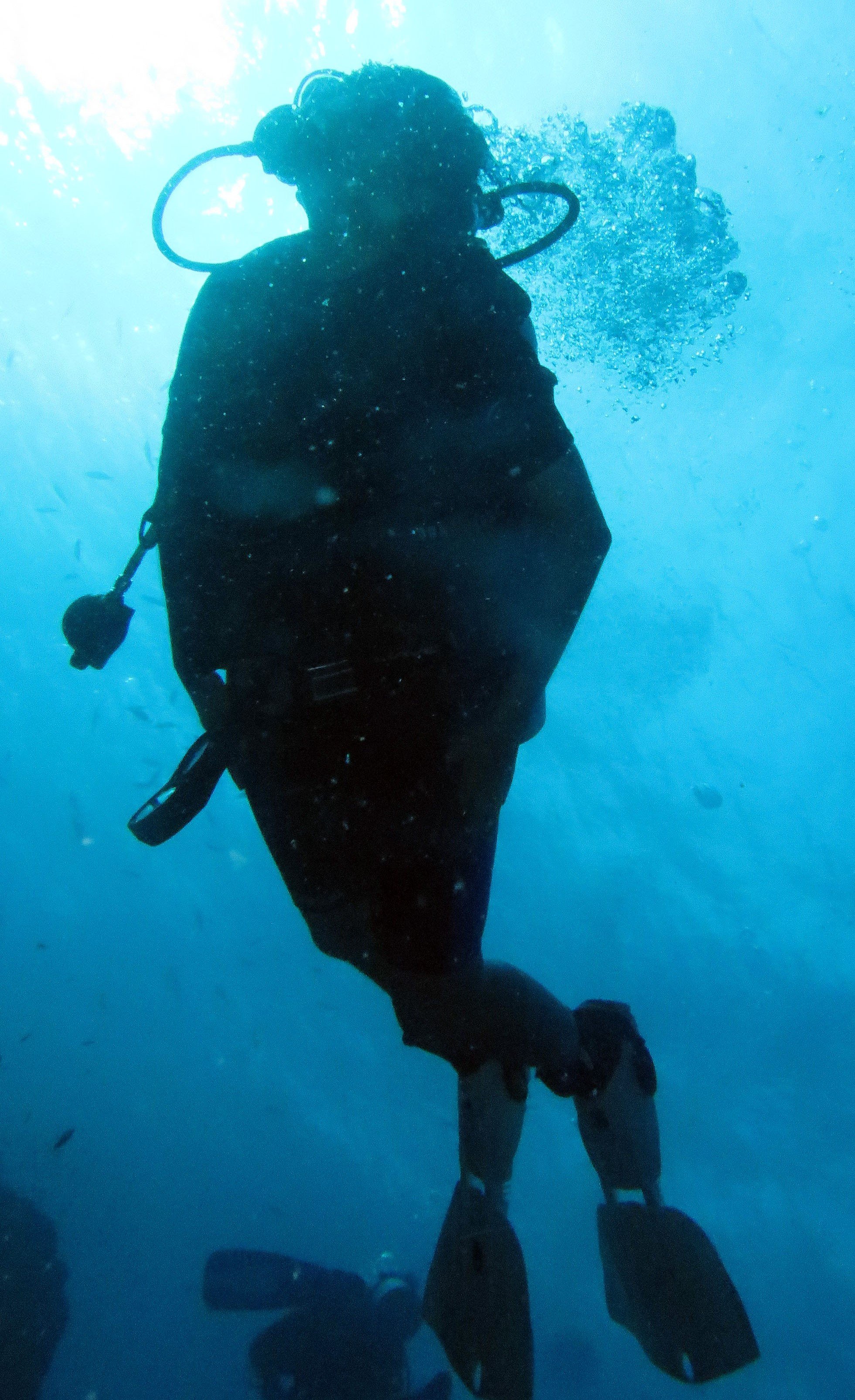 2016 Similans Trip with ISB GCW (53).JPG