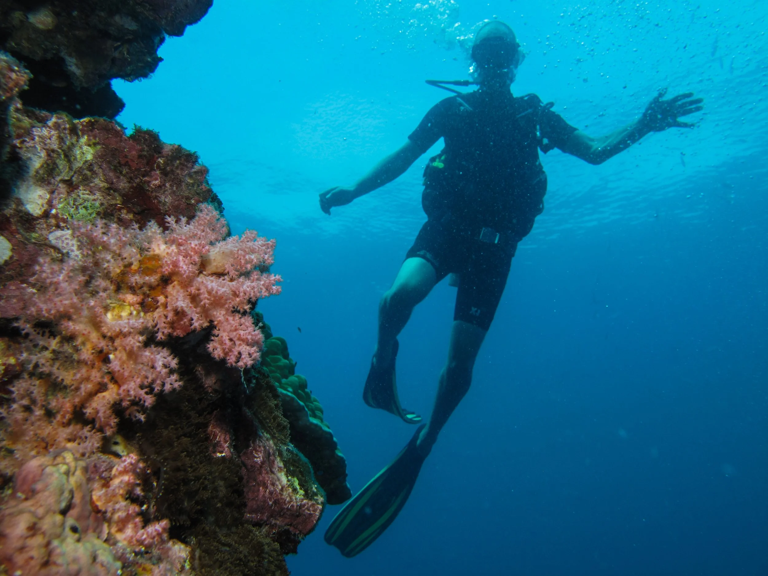 2013 Koh Lanta Dive Trip Koh Ha (107).jpg