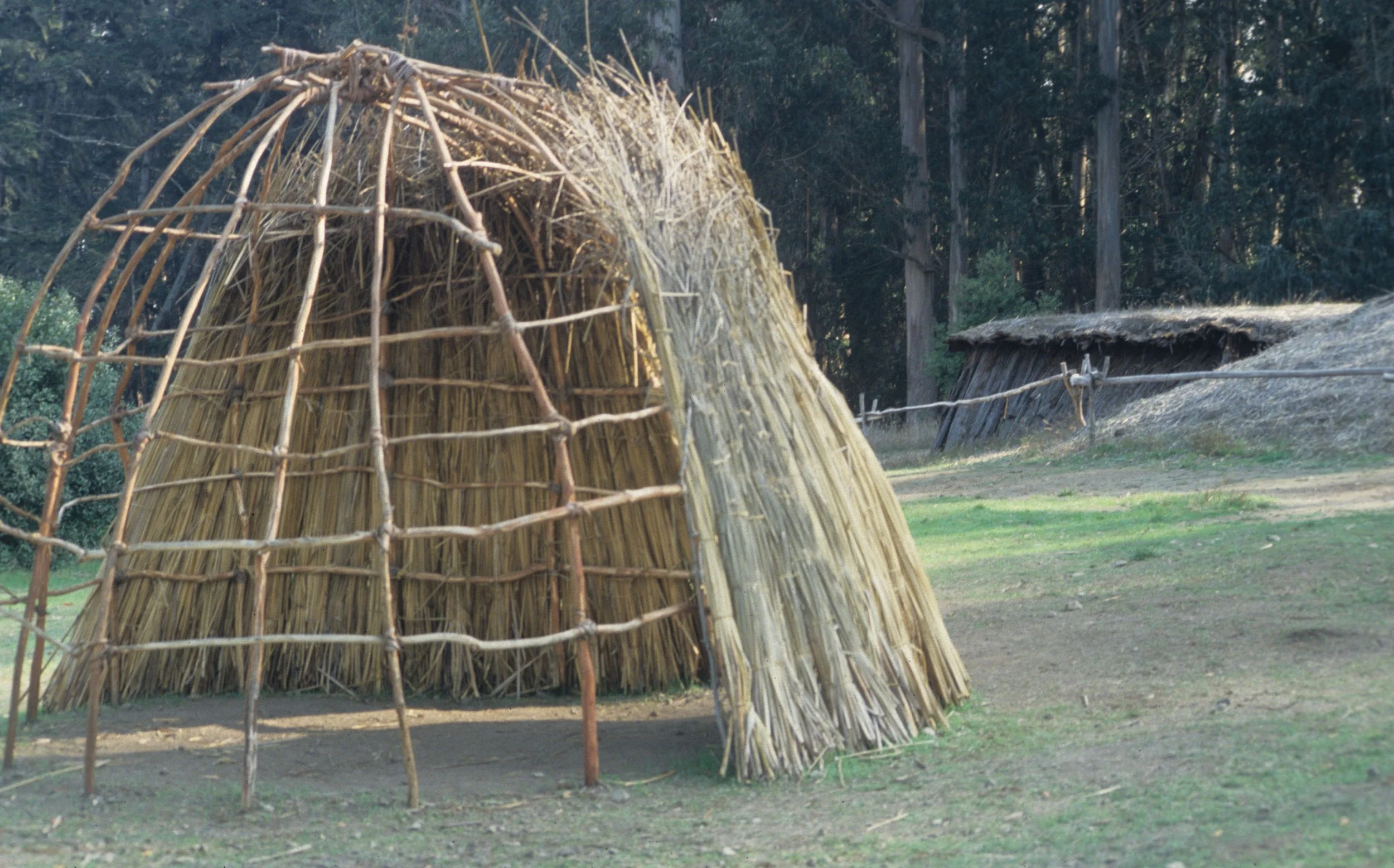 CALIFORNIA - POINT REYES - COASTAL MIWOK VILLAGE B.jpg