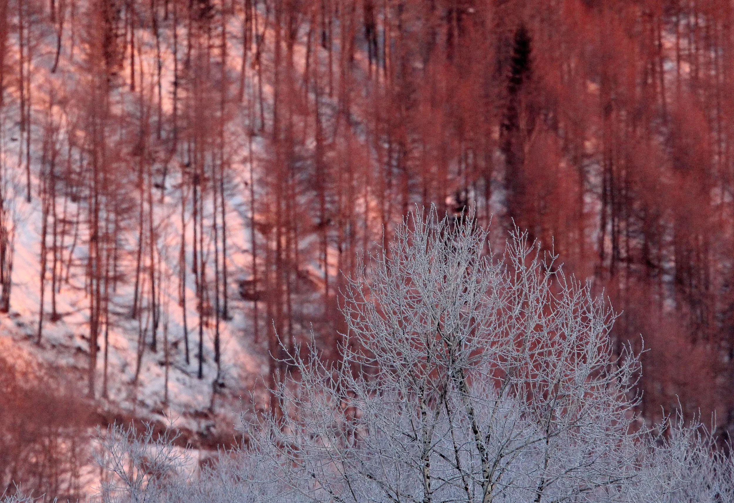 OTOWABASHI SETSUGAWA - TSURUI TOWN - HOKKAIDO JAPAN (12).JPG