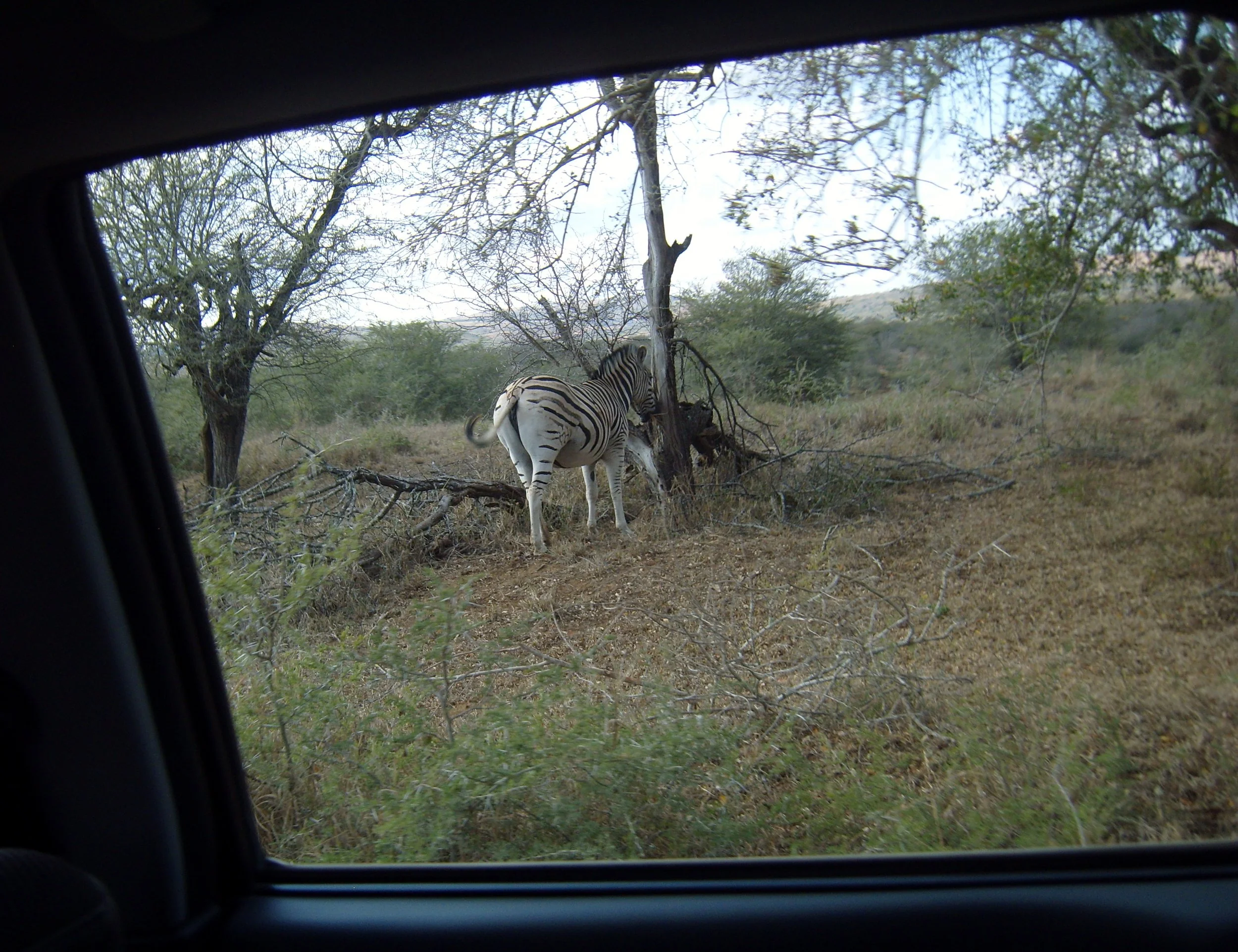 2009-6-18 COKIE'S IMAGES - MADAGASCAR AND AFRICA (19).JPG